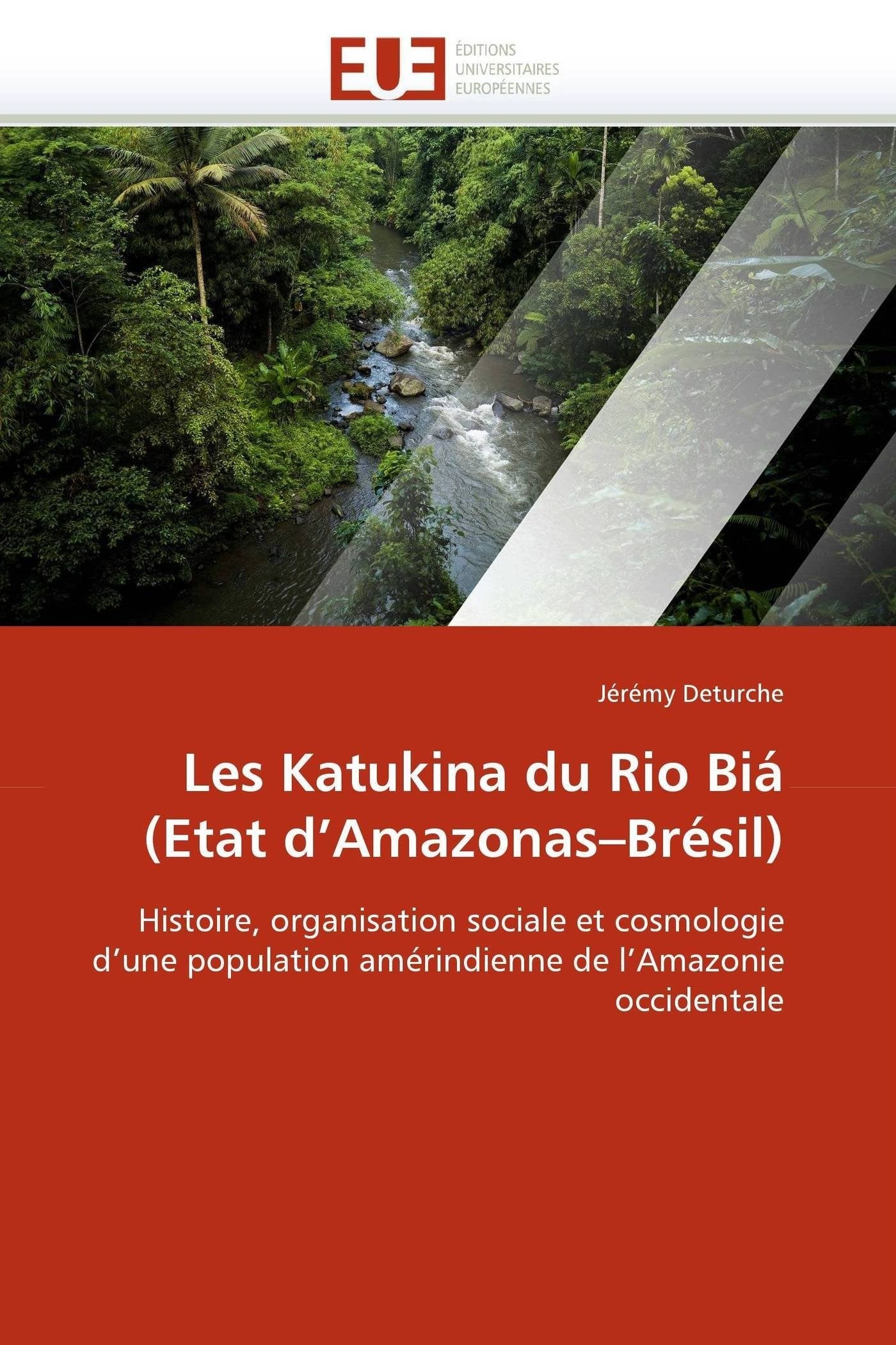 Les Katukina du Rio Biá (Etat d'Amazonas?Brésil): Histoire, organisation sociale et cosmologie d'une population amérindienne de l'Amazonie occidentale book