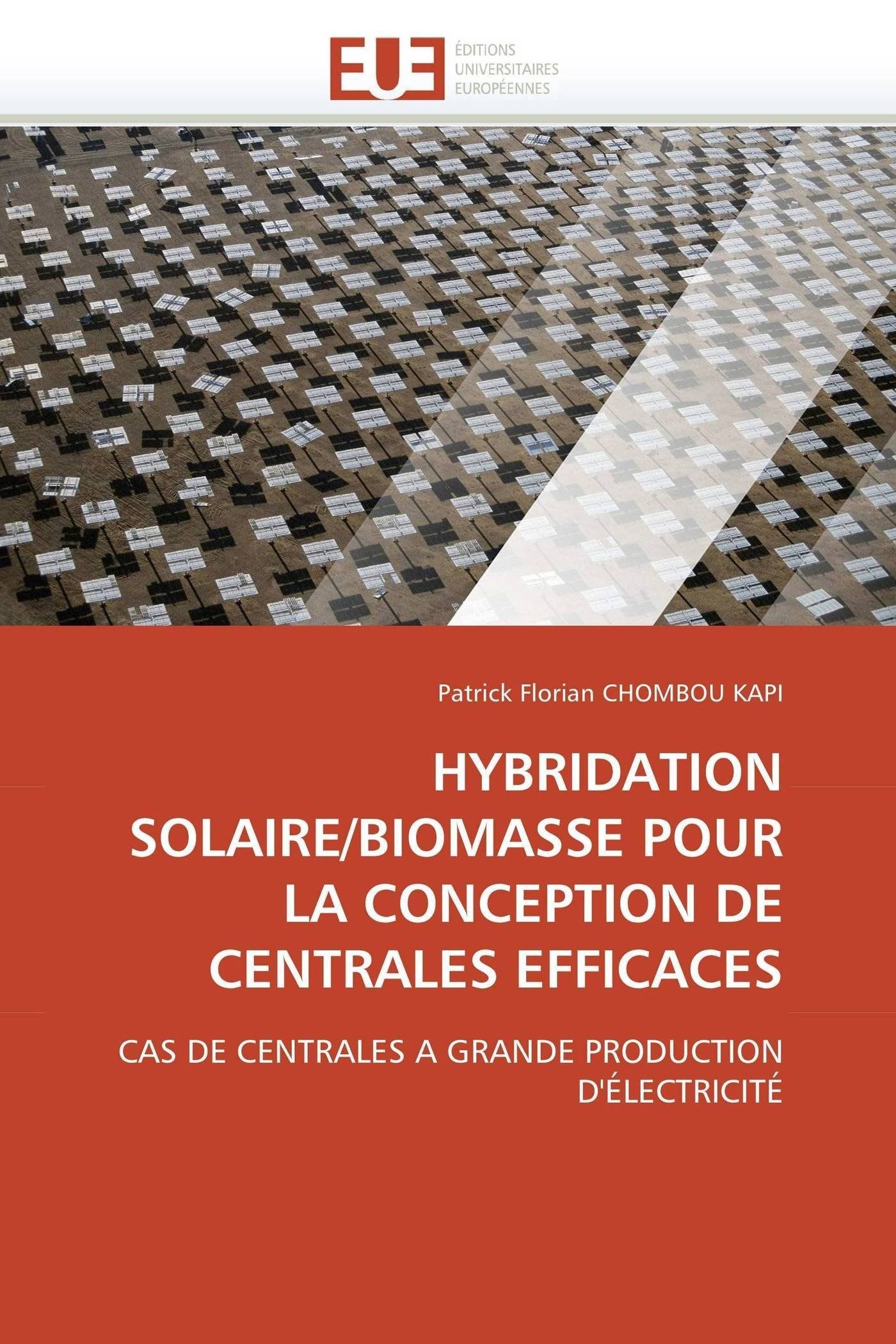 HYBRIDATION SOLAIRE/BIOMASSE POUR LA CONCEPTION DE CENTRALES EFFICACES: CAS DE CENTRALES A GRANDE PRODUCTION D'ÉLECTRICITÉ book