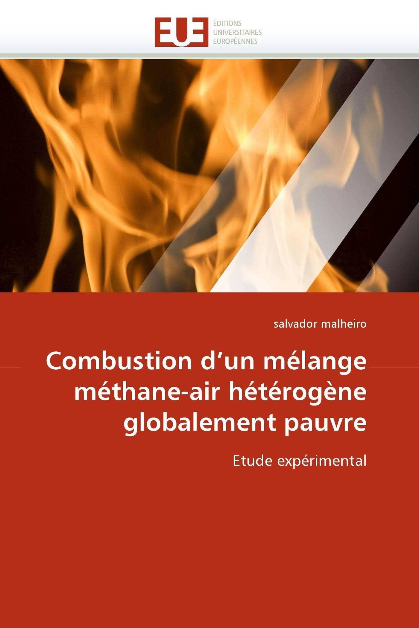 Combustion d'un mélange méthane-air hétérogène globalement pauvre: Etude expérimental book
