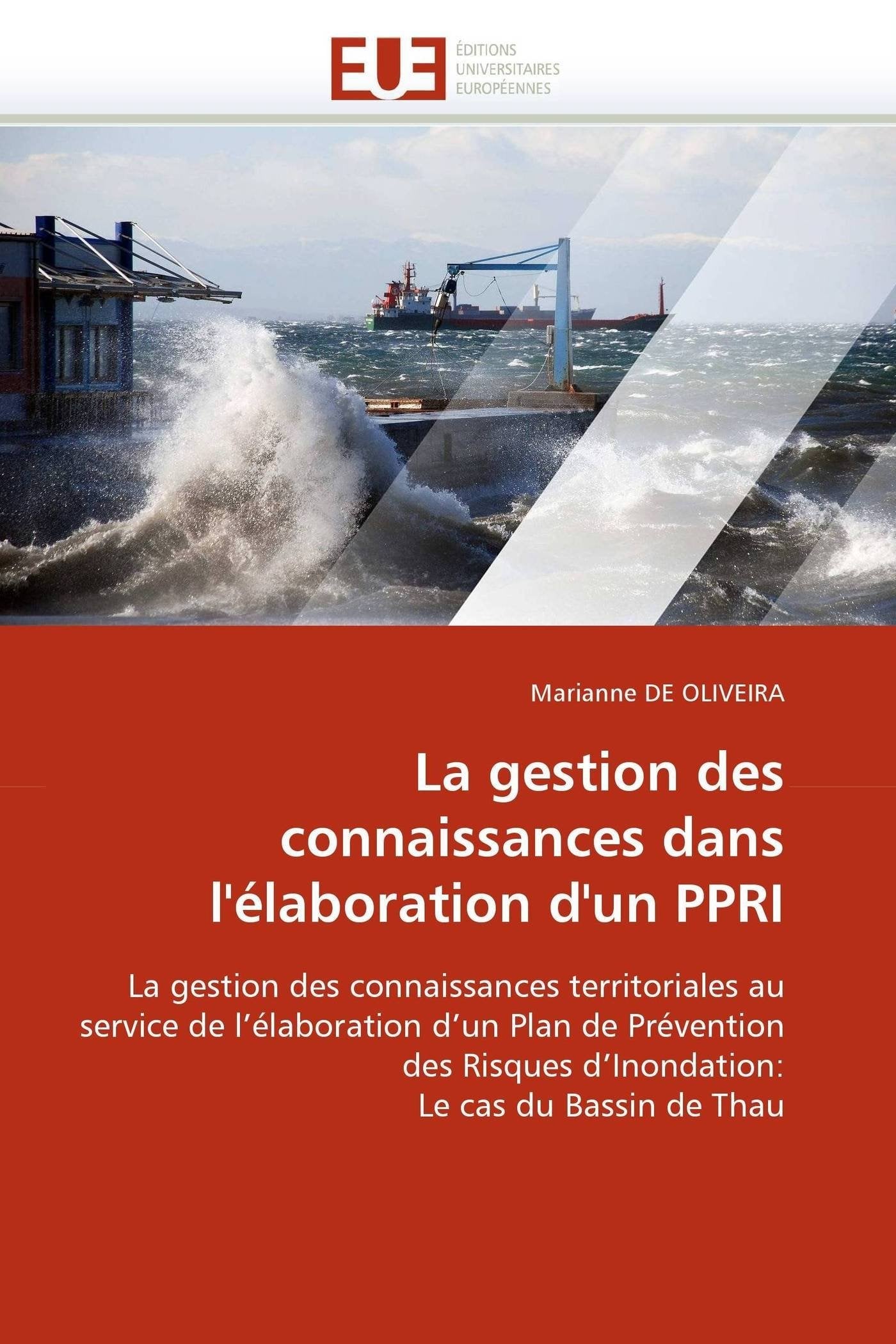 La gestion des connaissances dans l'élaboration d'un PPRI book