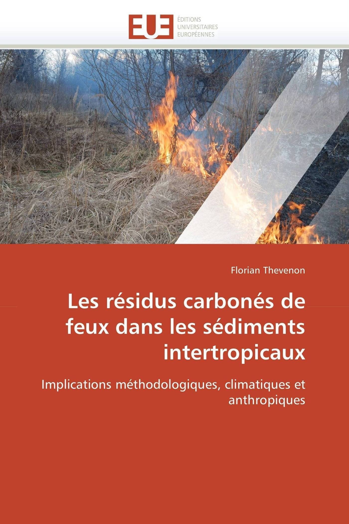 Les résidus carbonés de feux dans les sédiments intertropicaux: Implications méthodologiques, climatiques et anthropiques book