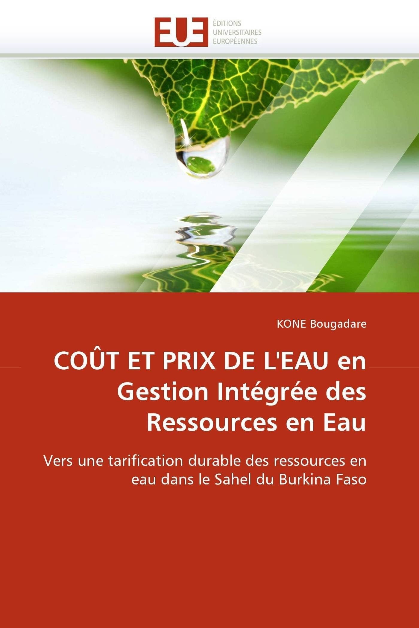 COÛT ET PRIX DE L'EAU en Gestion Intégrée des Ressources en Eau: Vers une tarification durable des ressources en eau dans le Sahel du Burkina Faso book