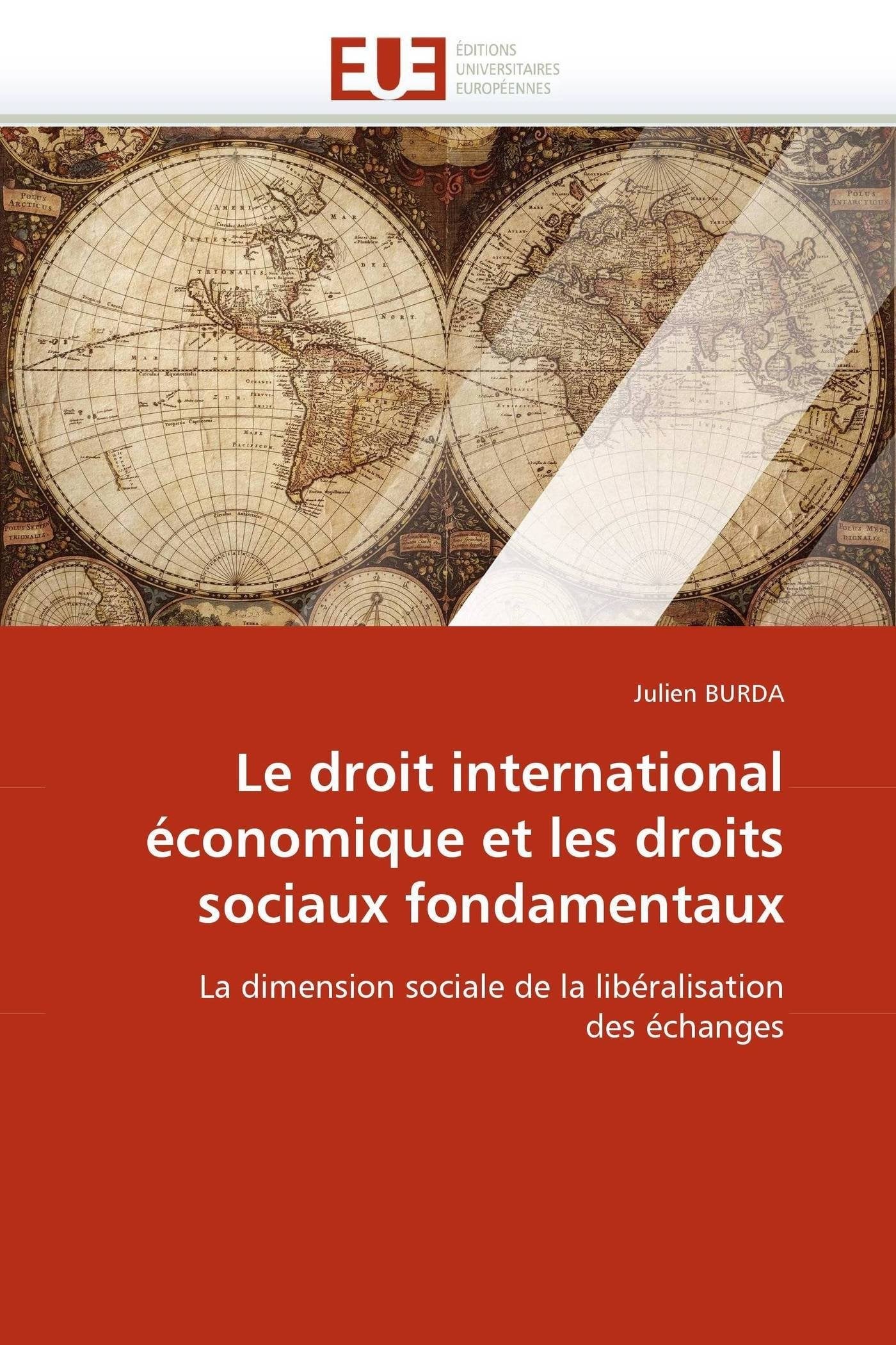 Le droit international économique et les droits sociaux fondamentaux book