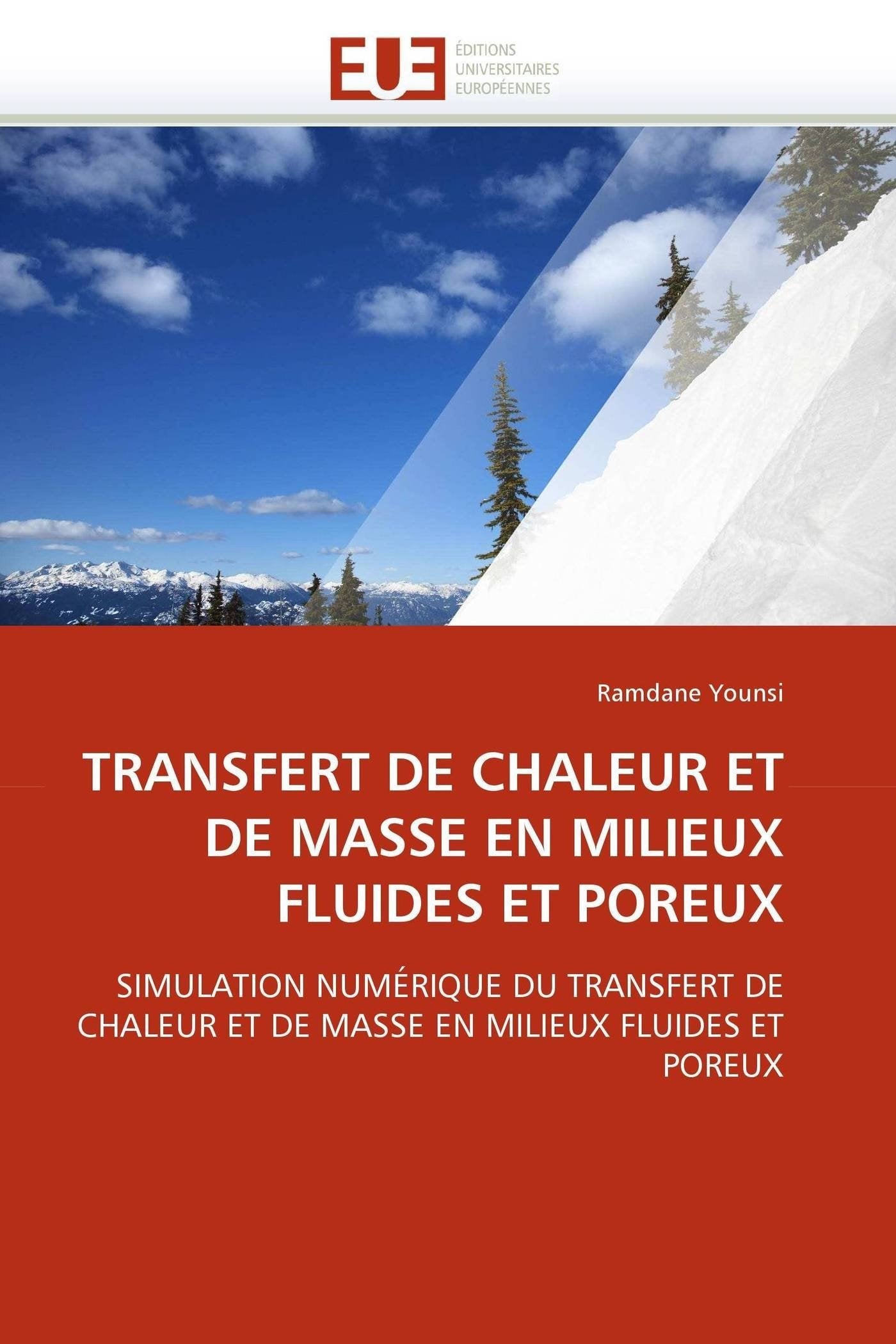 TRANSFERT DE CHALEUR ET DE MASSE EN MILIEUX FLUIDES ET POREUX: SIMULATION NUMÉRIQUE DU TRANSFERT DE CHALEUR ET DE MASSE EN MILIEUX FLUIDES ET POREUX book