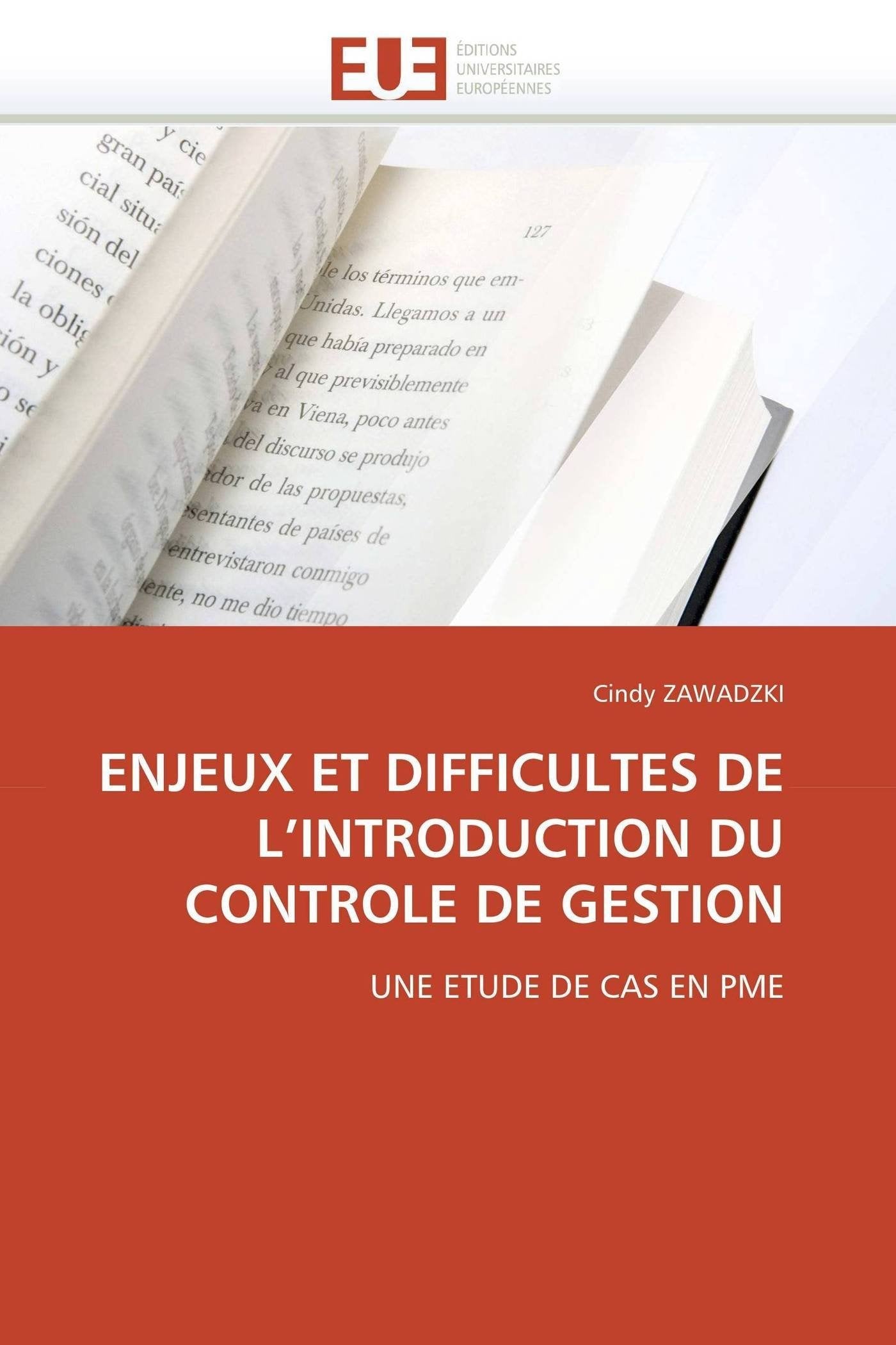 ENJEUX ET DIFFICULTES DE L'INTRODUCTION DU CONTROLE DE GESTION: UNE ETUDE DE CAS EN PME book