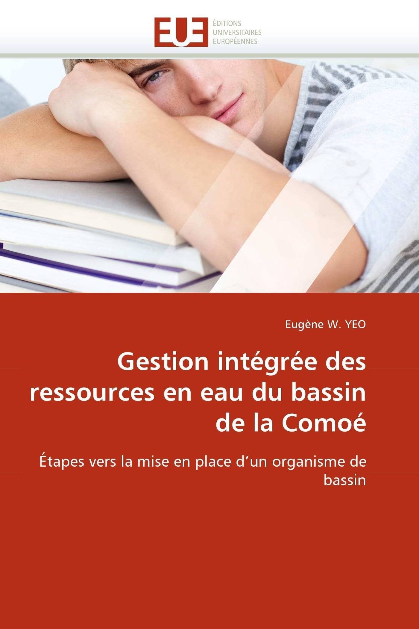 Gestion intégrée des ressources en eau du bassin de la Comoé: Étapes vers la mise en place d'un organisme de bassin book