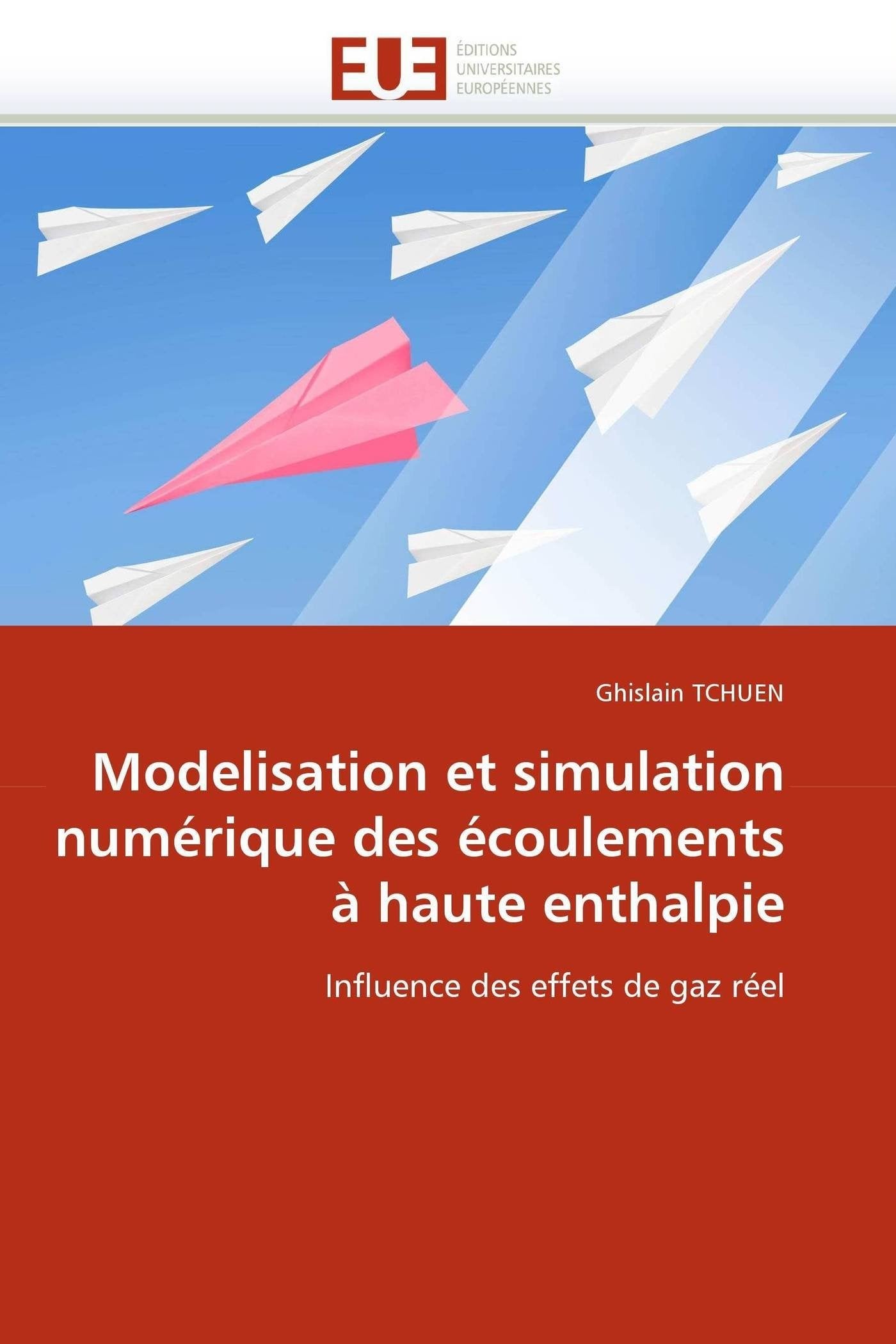 Modelisation et simulation numérique des écoulements à haute enthalpie: Influence des effets de gaz réel book
