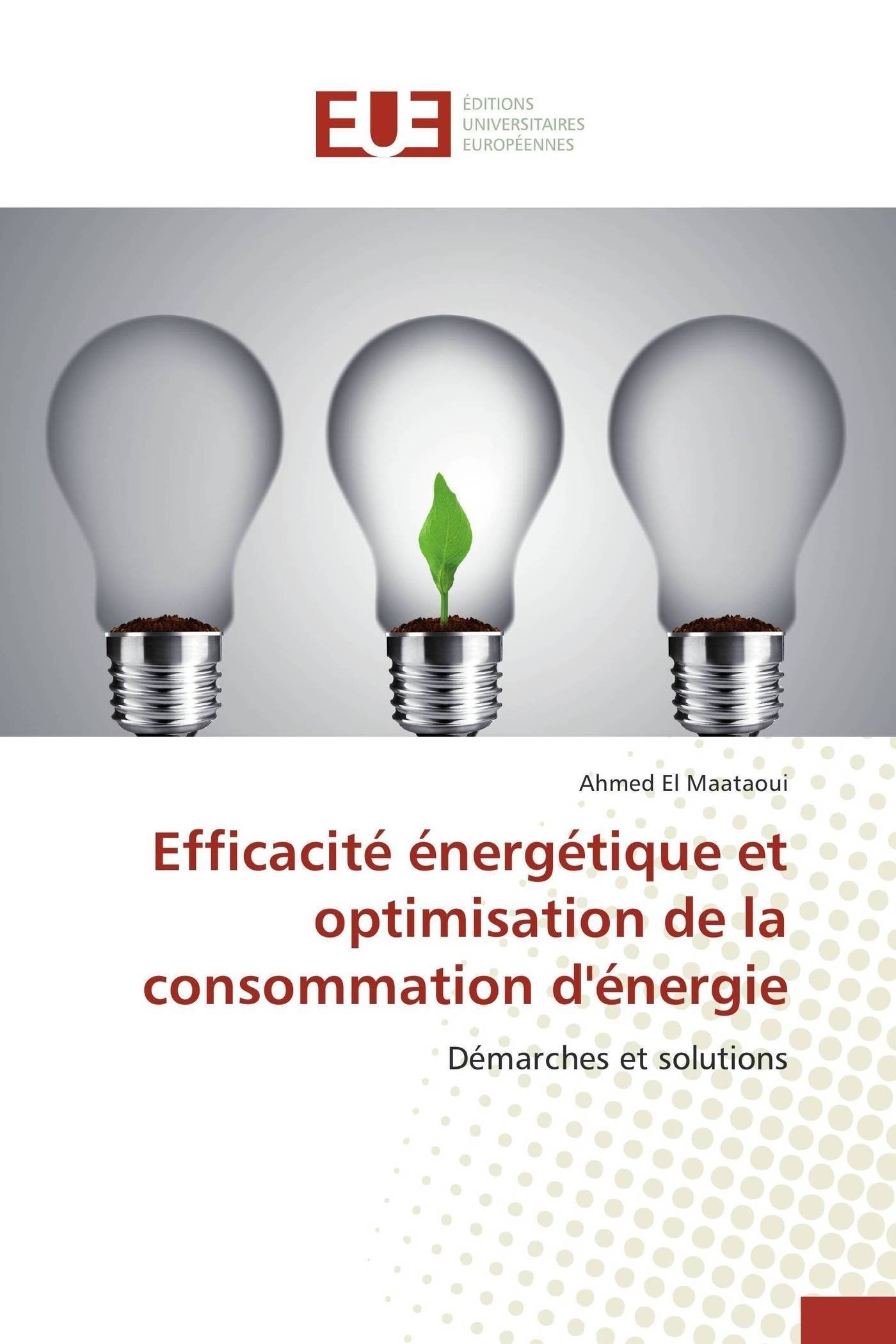 Efficacité énergétique et optimisation de la consommation d'énergie book