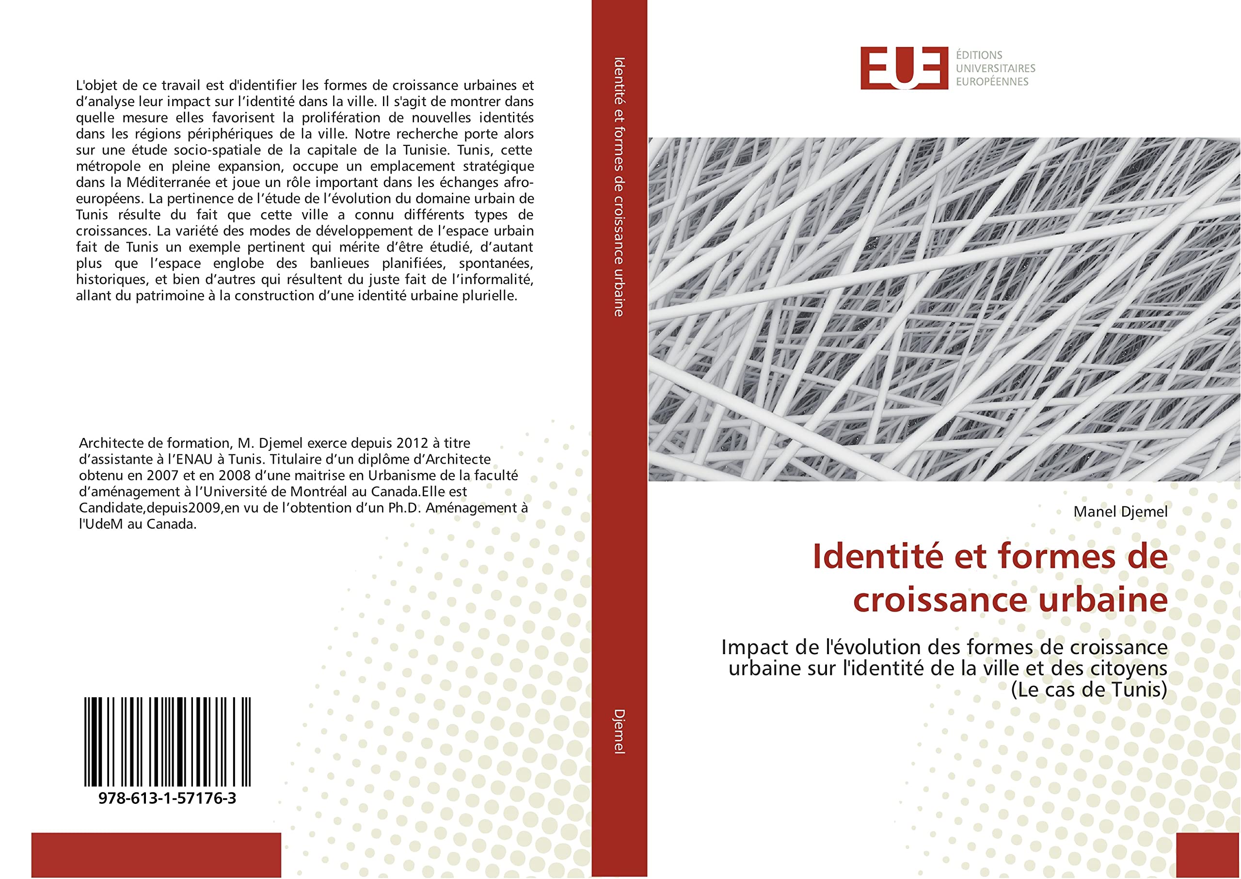 Identité et formes de croissance urbaine: Impact de l'évolution des formes de croissance urbaine sur l'identité de la ville et des citoyens (Le cas de Tunis) book