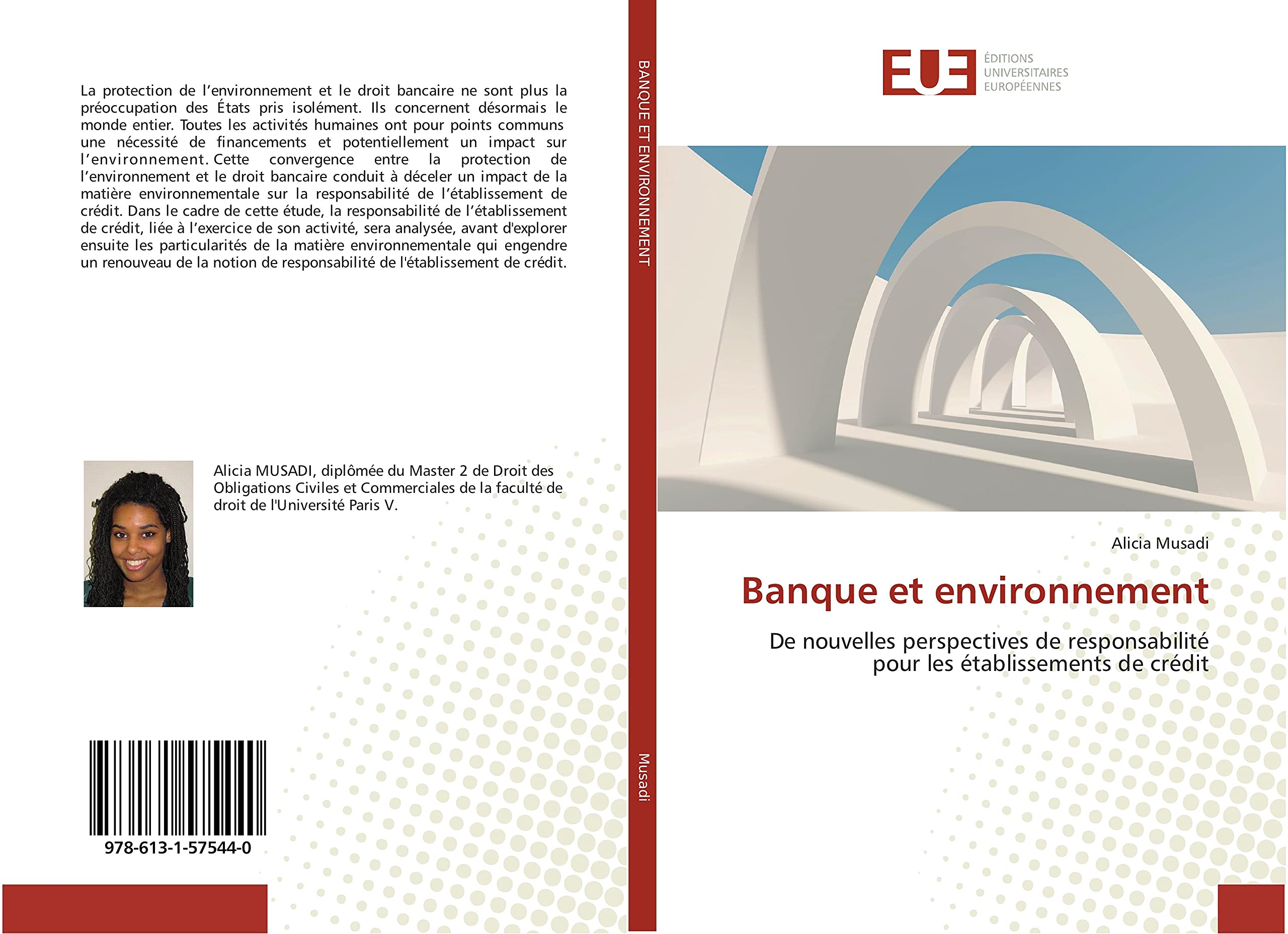Banque et environnement: De nouvelles perspectives de responsabilité pour les établissements de crédit book