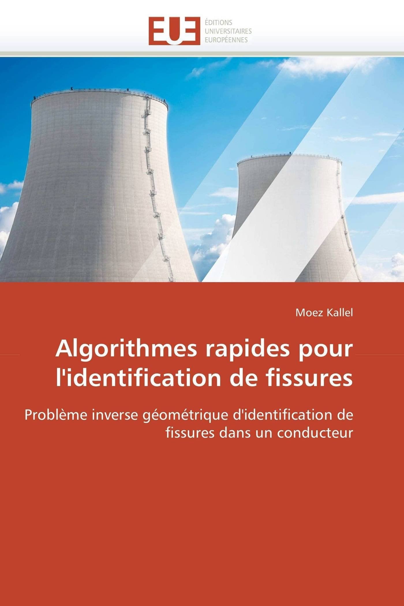 Algorithmes rapides pour l'identification de fissures: Problème inverse géométrique d'identification de fissures dans un conducteur book