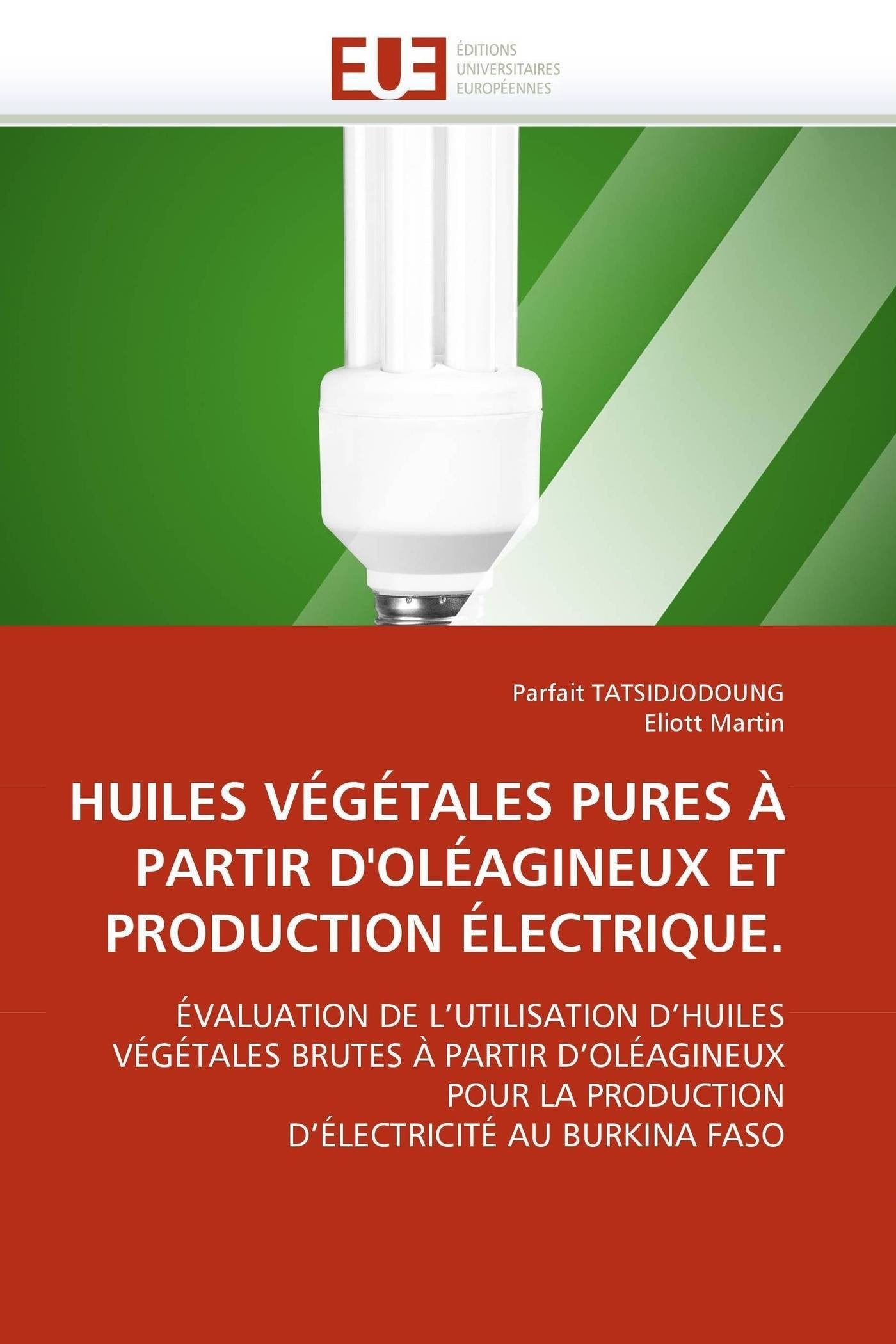 HUILES VÉGÉTALES PURES À PARTIR D'OLÉAGINEUX ET PRODUCTION ÉLECTRIQUE.: ÉVALUATION DE L'UTILISATION D'HUILES VÉGÉTALES BRUTES À PARTIR D'OLÉAGINEUX POUR LA PRODUCTION D'ÉLECTRICITÉ AU BURKINA FASO book