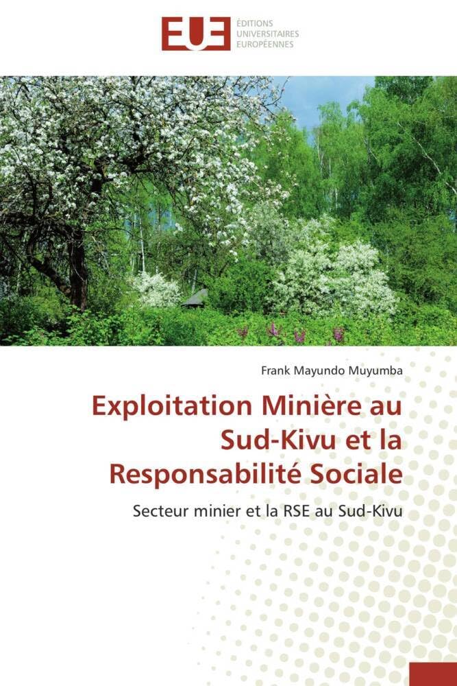 Exploitation Minière au Sud-Kivu et la Responsabilité Sociale: Secteur minier et la RSE au Sud-Kivu book