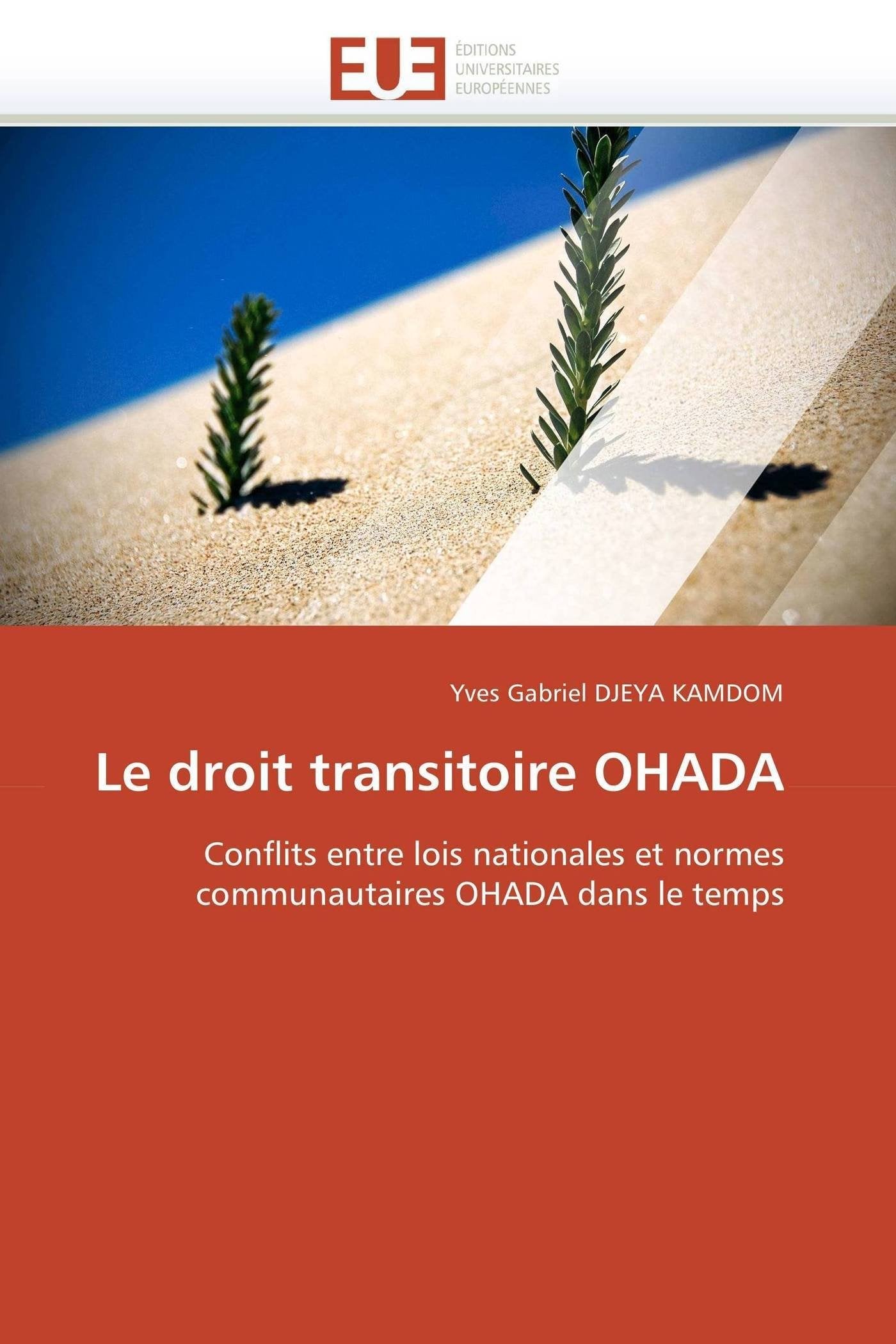 Le droit transitoire OHADA: Conflits entre lois nationales et normes communautaires OHADA dans le temps book