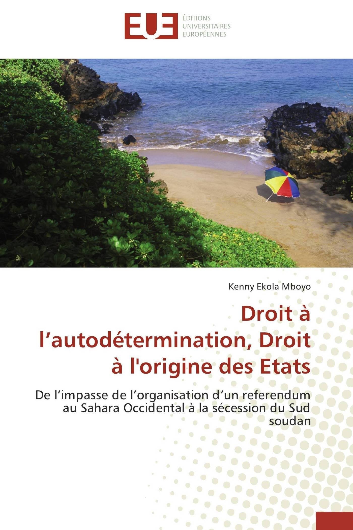 Droit à l’autodétermination, Droit à l'origine des Etats: De l’impasse de l’organisation d’un referendum au Sahara Occidental à la sécession du Sud soudan book