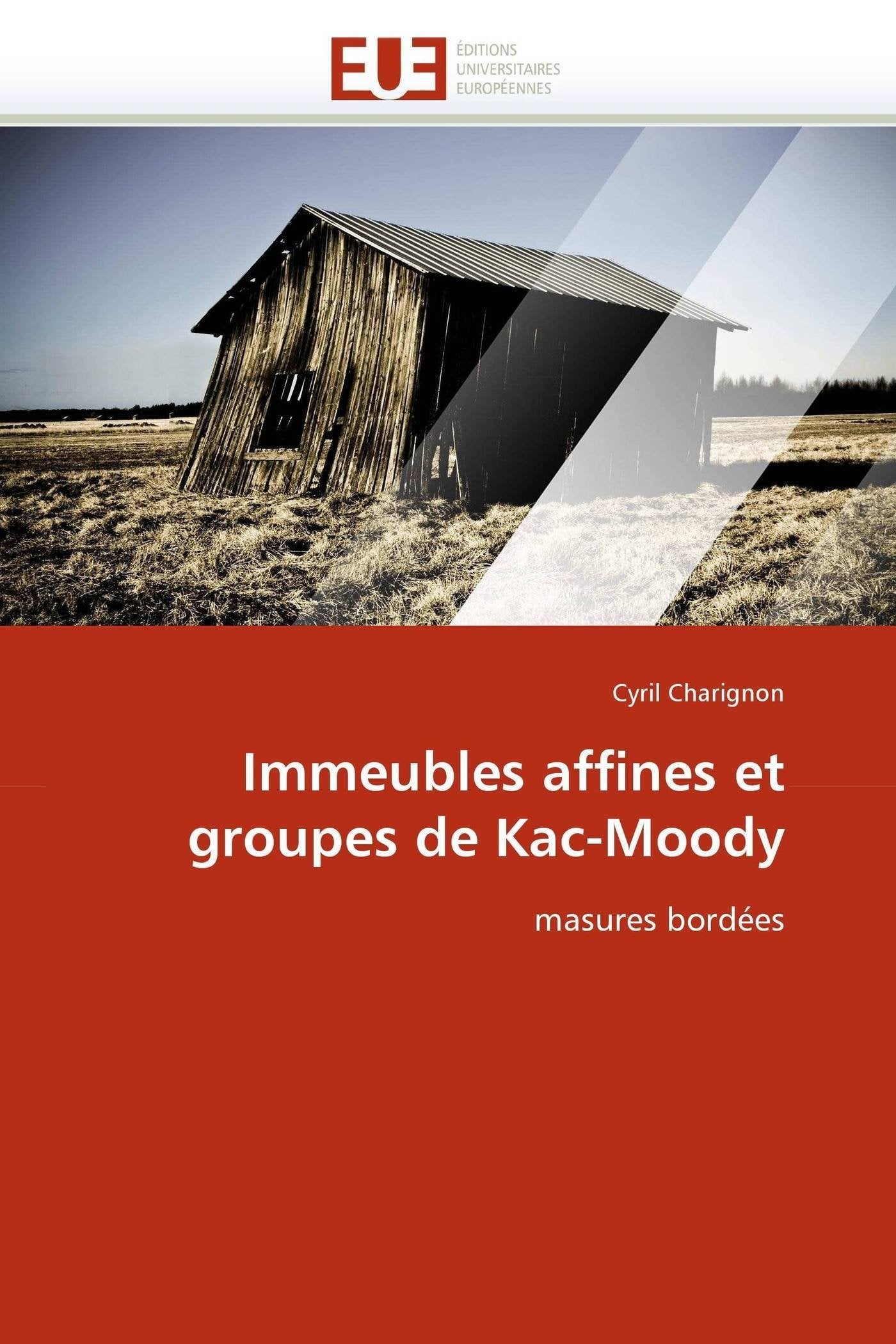Immeubles affines et groupes de Kac-Moody: masures bordées book