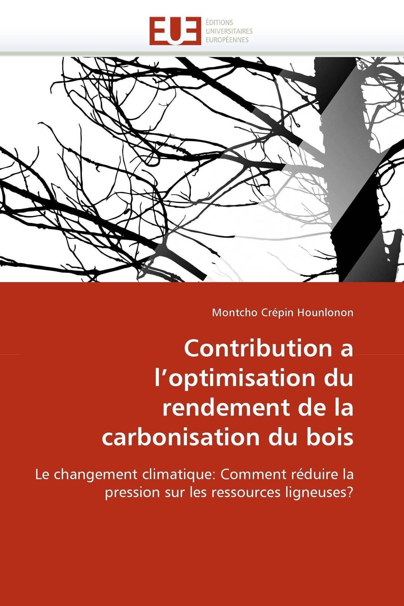 Contribution a l'optimisation du rendement de la carbonisation du bois: Le changement climatique: Comment réduire la pression sur les ressources ligneuses? book