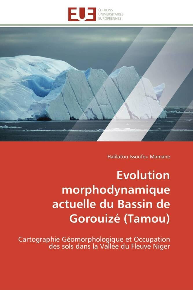 Evolution morphodynamique actuelle du Bassin de Gorouizé (Tamou): Cartographie Géomorphologique et Occupation des sols dans la Vallée du Fleuve Niger book