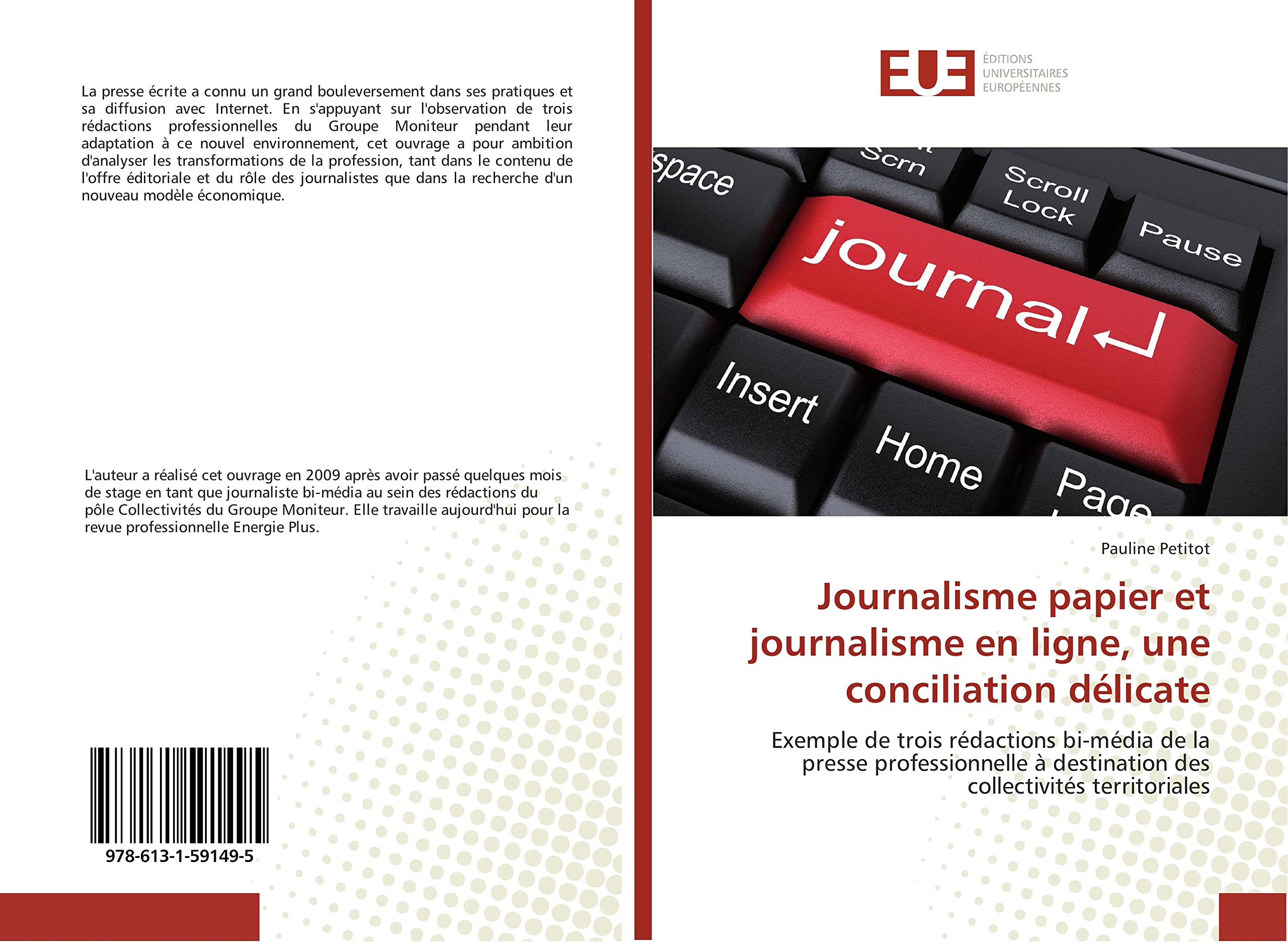 Journalisme papier et journalisme en ligne, une conciliation délicate: Exemple de trois rédactions bi-média de la presse professionnelle à destination des collectivités territoriales book