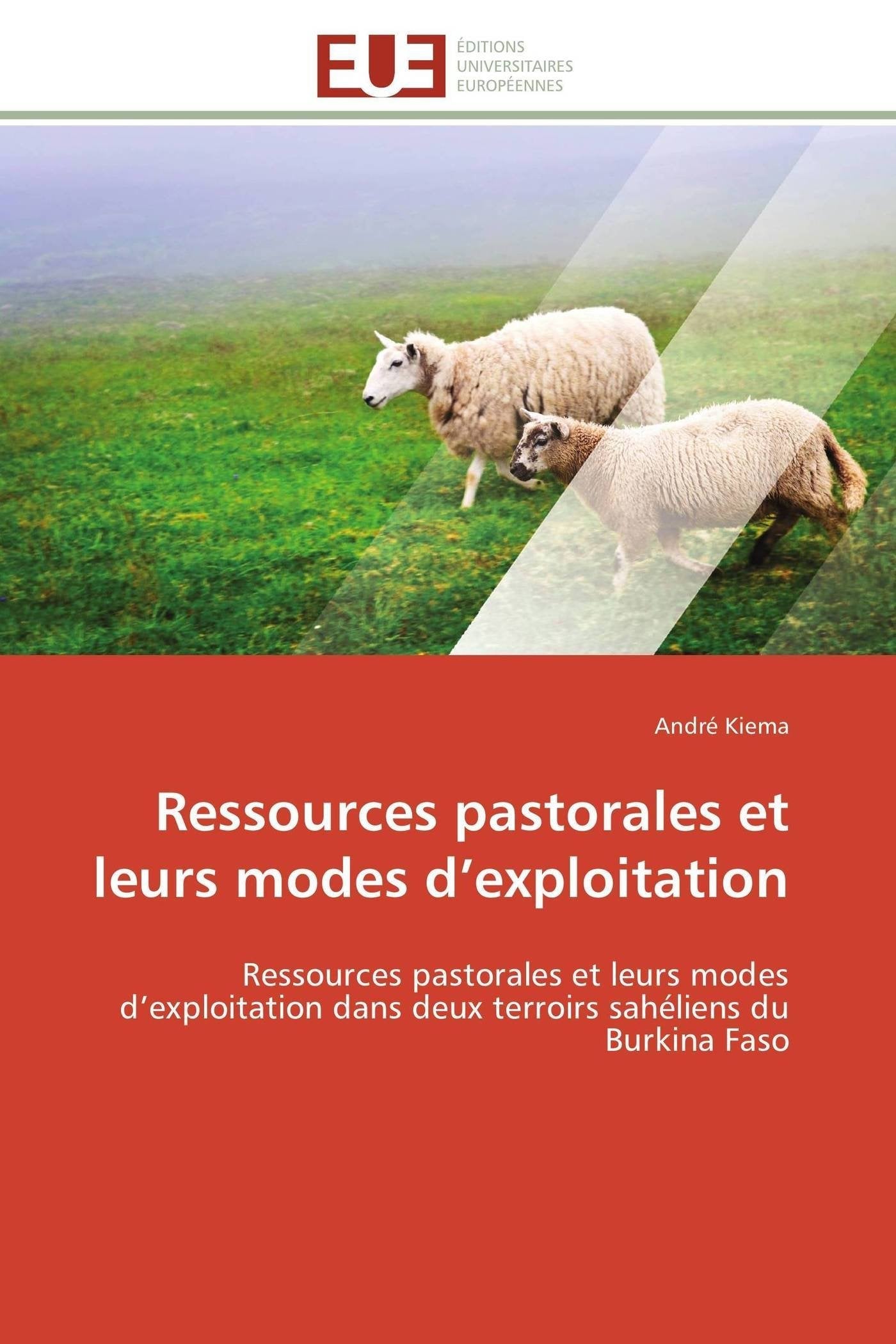 Ressources pastorales et leurs modes d’exploitation: Ressources pastorales et leurs modes d’exploitation dans deux terroirs sahéliens du Burkina Faso book