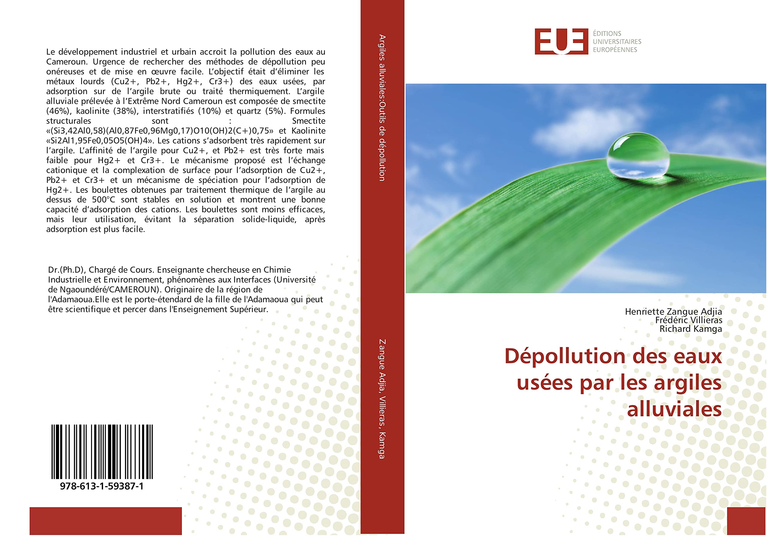 Dépollution des eaux usées par les argiles alluviales book