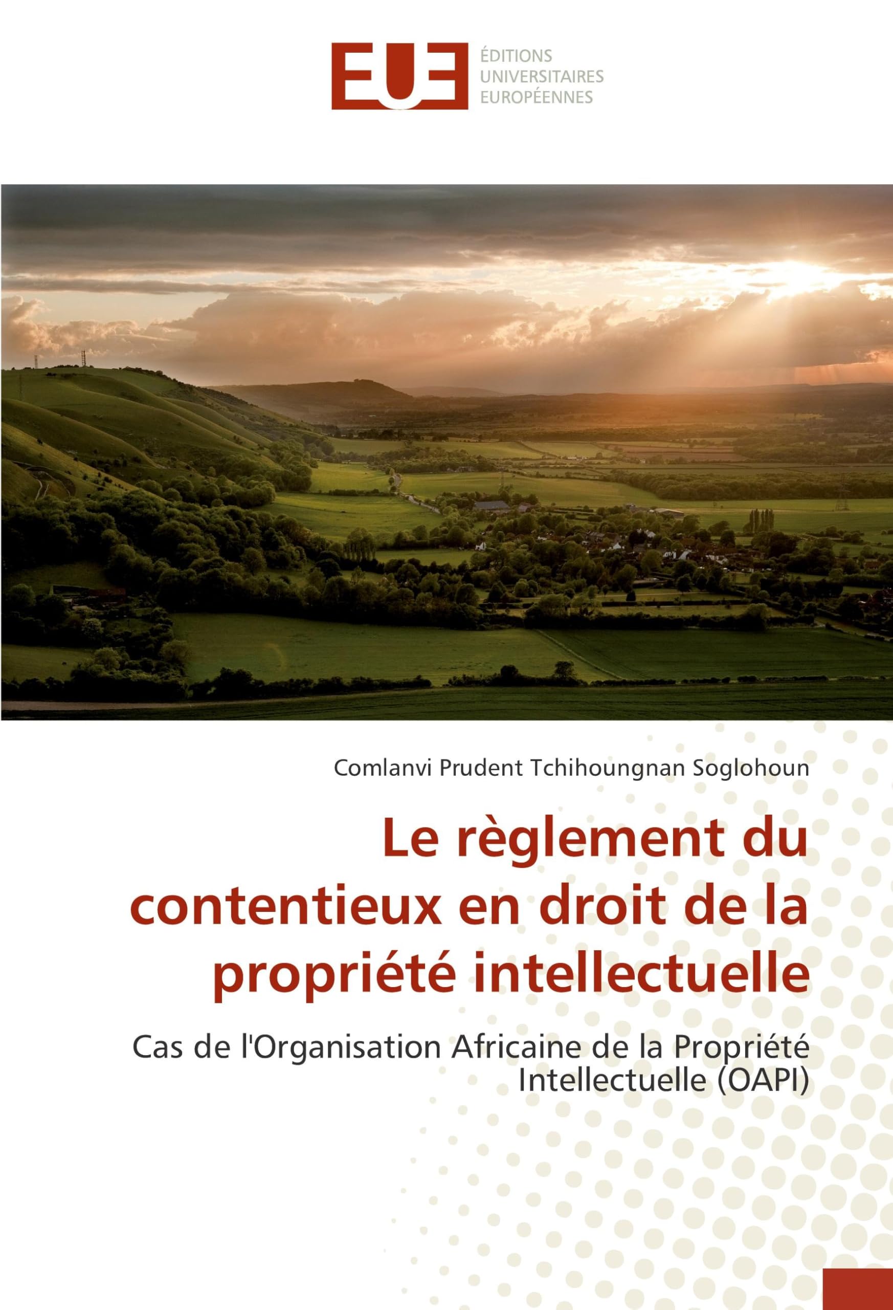 Le règlement du contentieux en droit de la propriété intellectuelle: Cas de l'Organisation Africaine de la Propriété Intellectuelle (OAPI) book