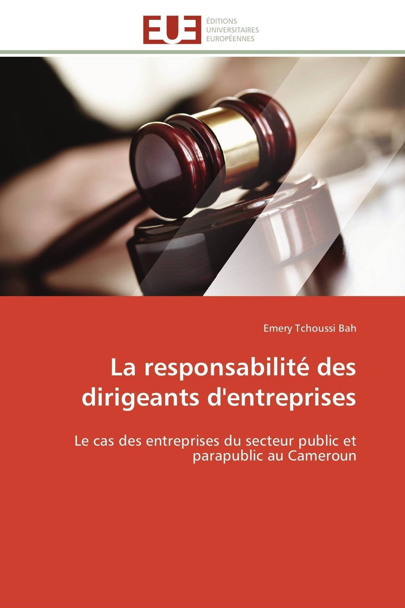 La responsabilité des dirigeants d'entreprises: Le cas des entreprises du secteur public et parapublic au Cameroun book