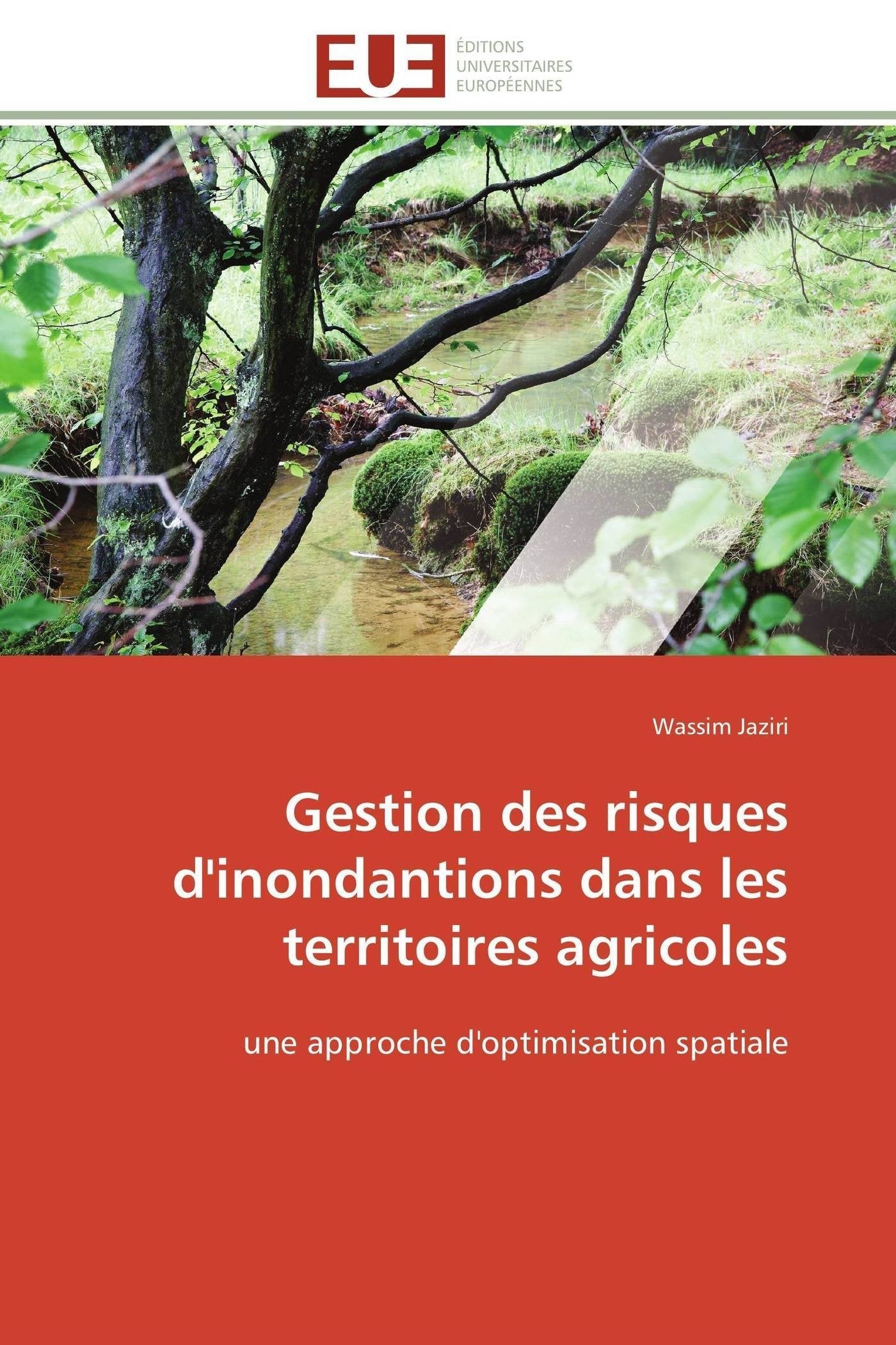 Gestion des risques d'inondantions dans les territoires agricoles: une approche d'optimisation spatiale book