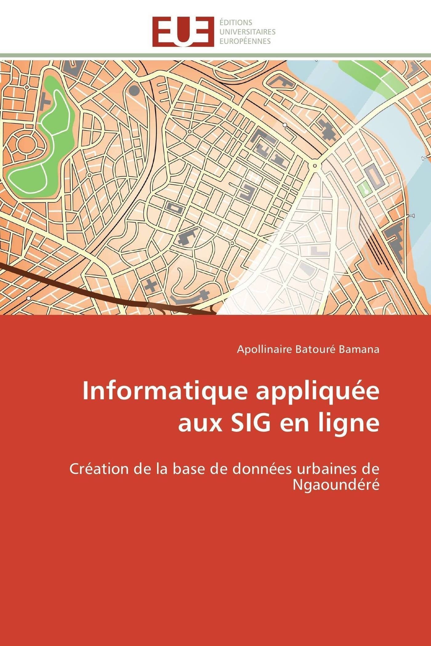 Informatique appliquée aux SIG en ligne: Création de la base de données urbaines de Ngaoundéré book