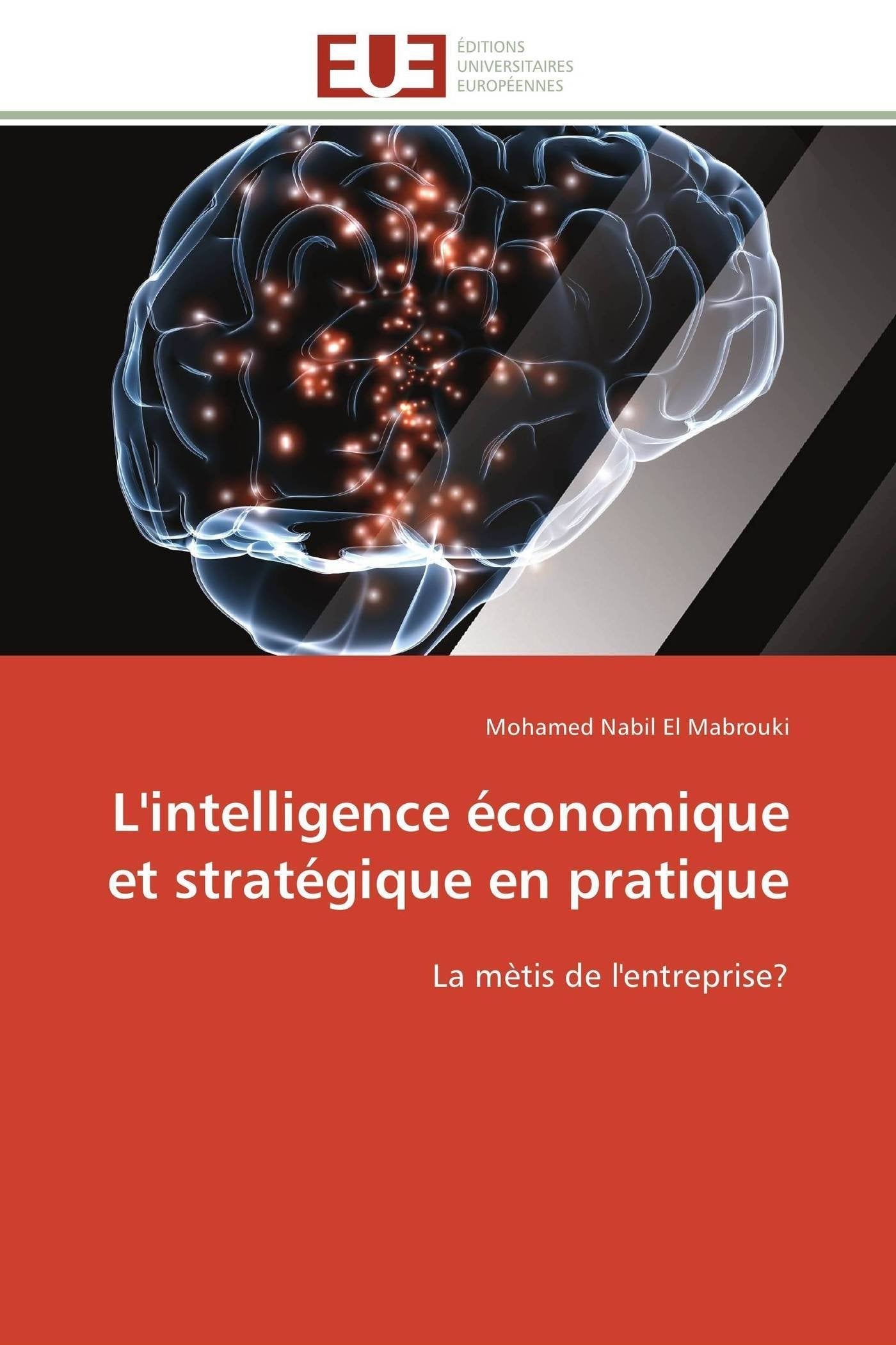 L'intelligence économique et stratégique en pratique book