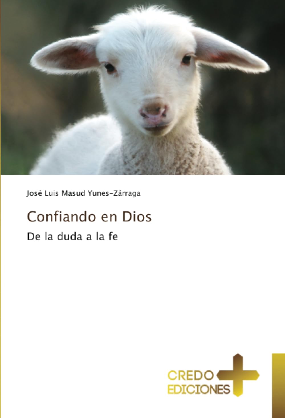 Confiando en Dios: De la duda a la fe book