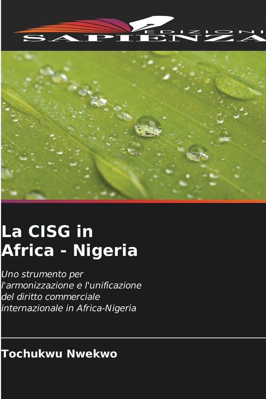 La CISG in Africa - Nigeria Law