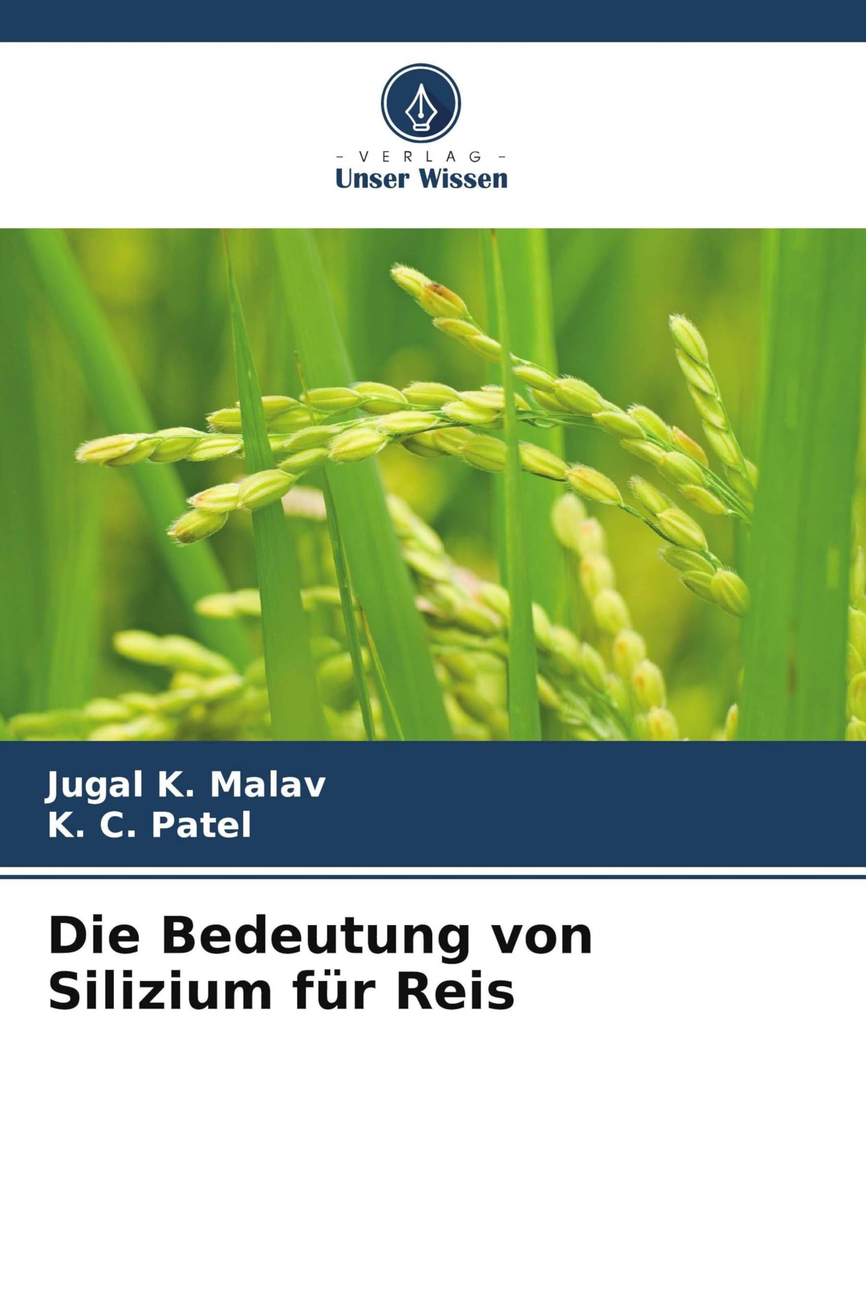 Die Bedeutung von Silizium für Reis Natural Sciences