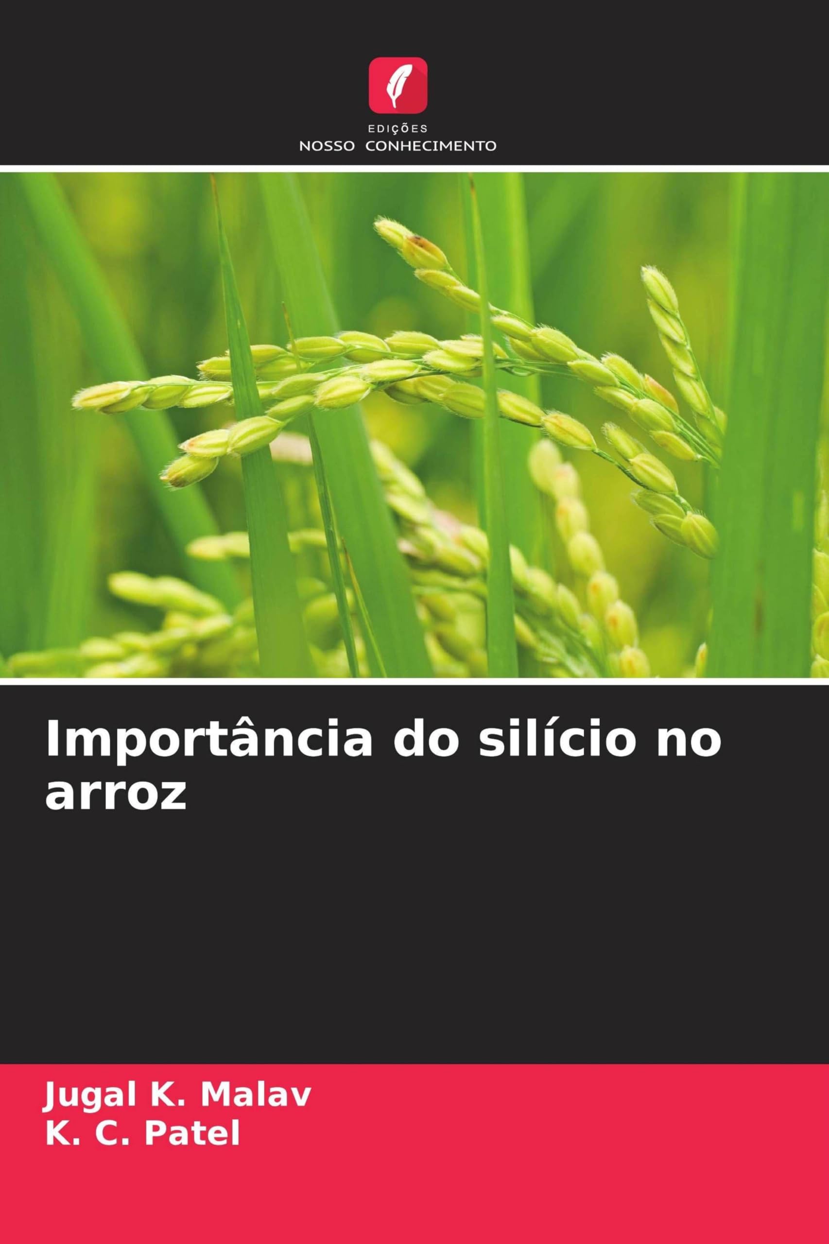 Importância do silício no arroz Natural Sciences