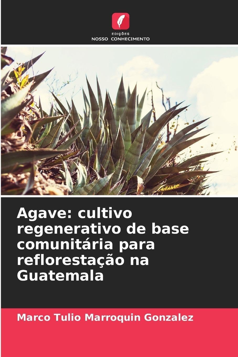 Agave: cultivo regenerativo de base comunitária para reflorestação na Guatemala Media & Communication