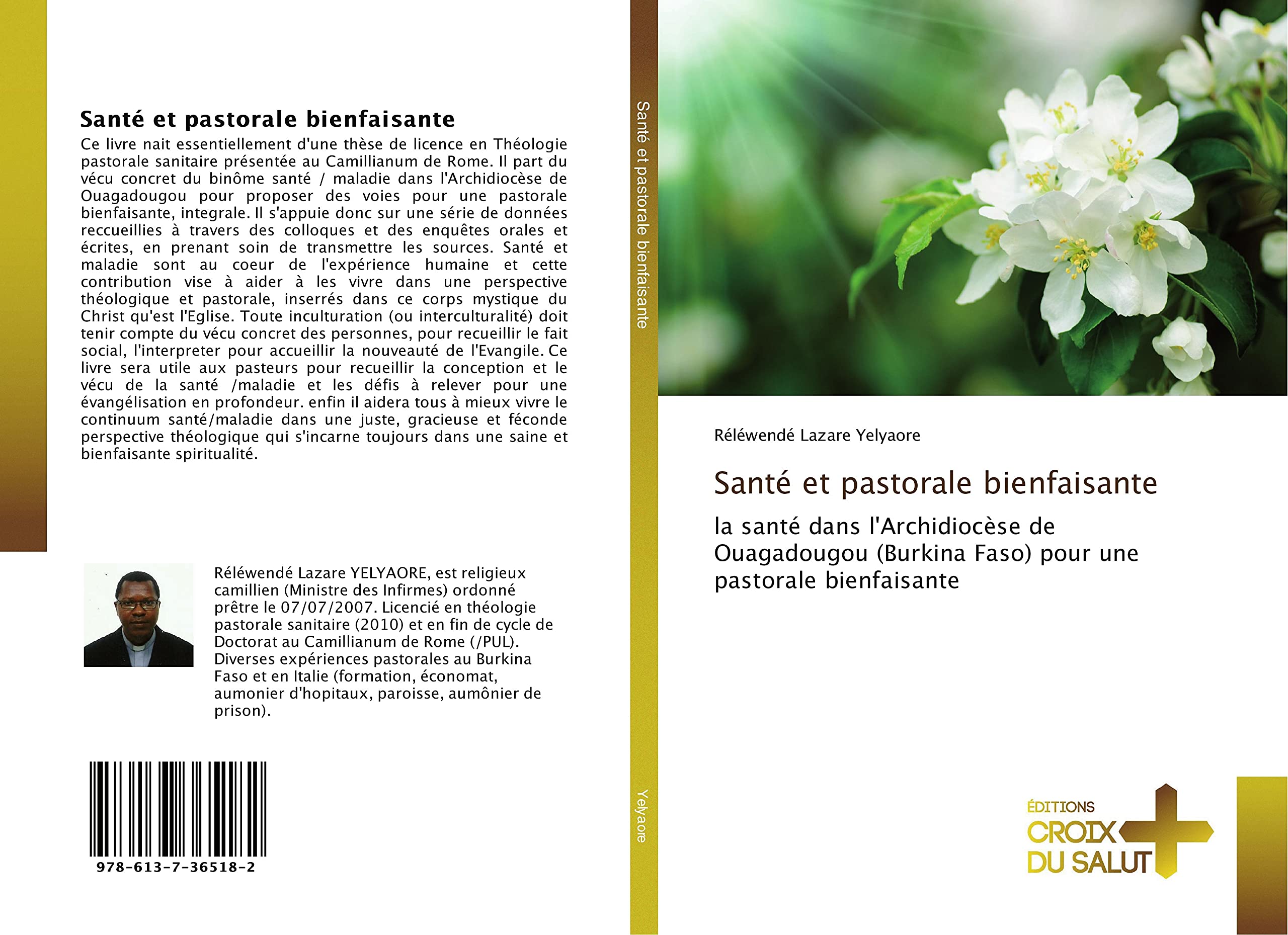 Santé et pastorale bienfaisante book