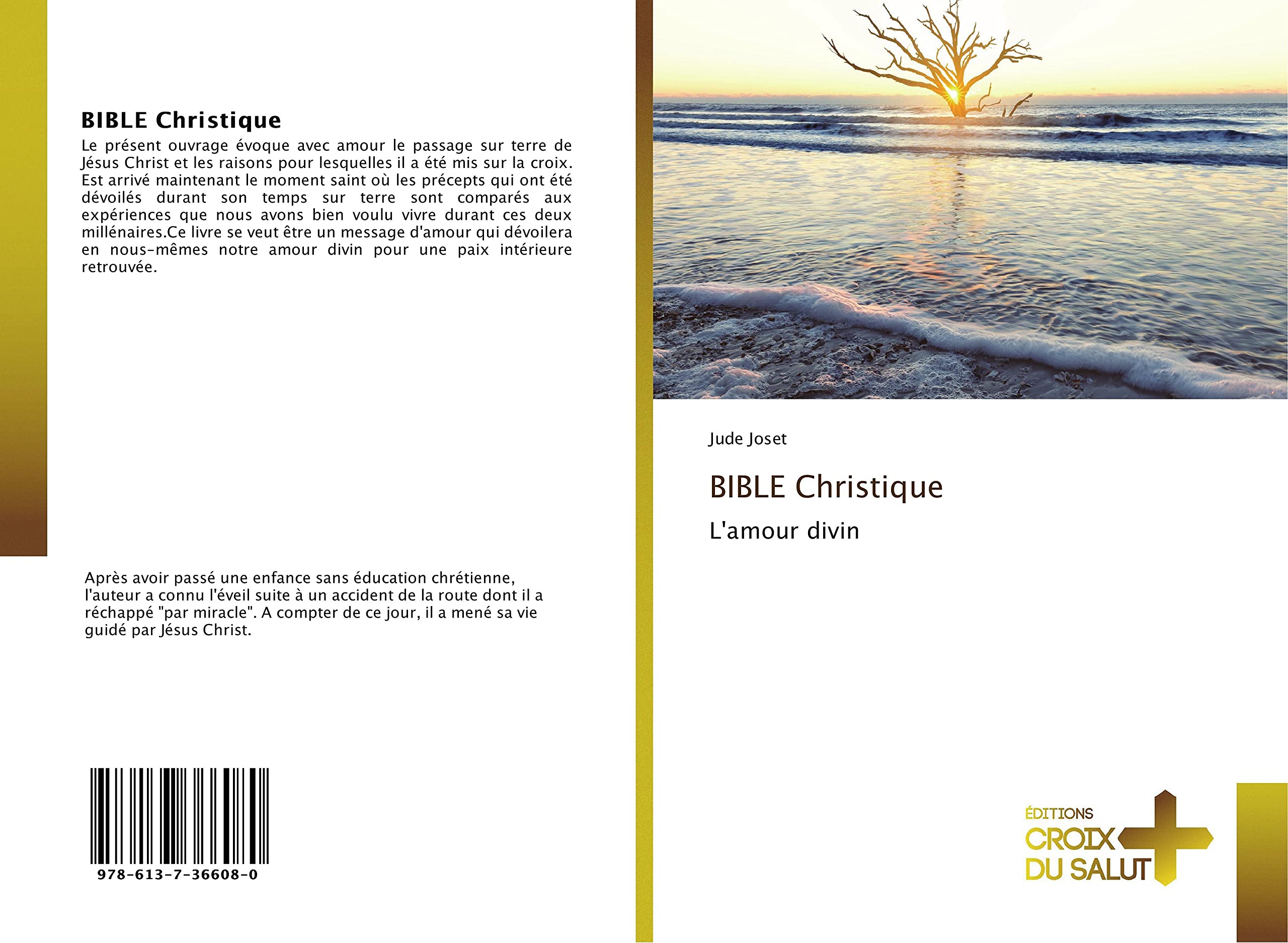 BIBLE Christique: L'amour divin book