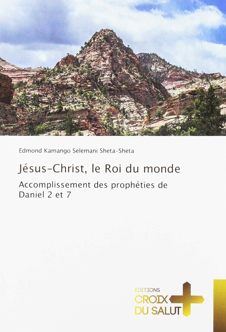 Jésus-Christ, le Roi du monde: Accomplissement des prophéties de Daniel 2 et 7 book