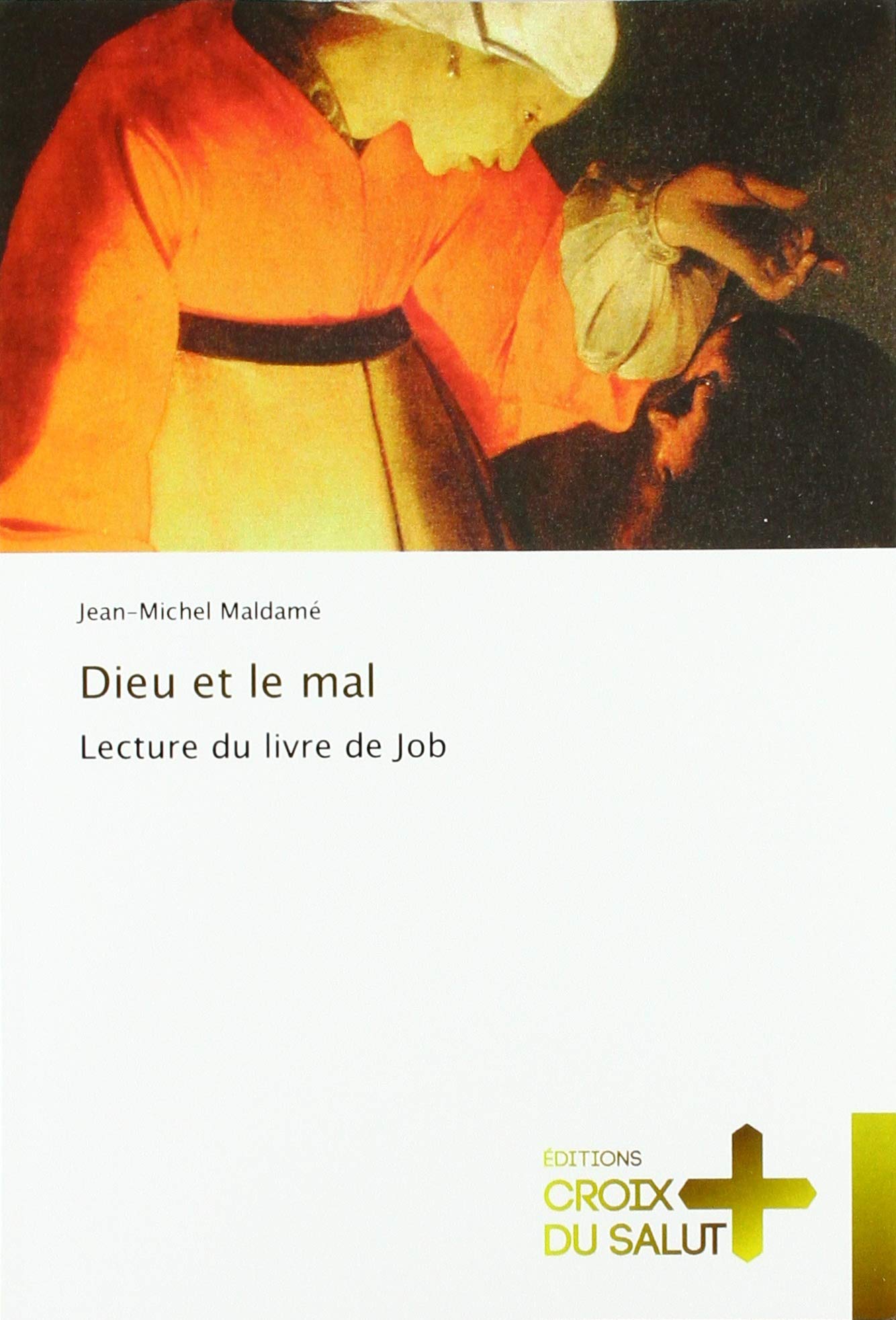 Dieu et le mal: Lecture du livre de Job Religion & Esotericism