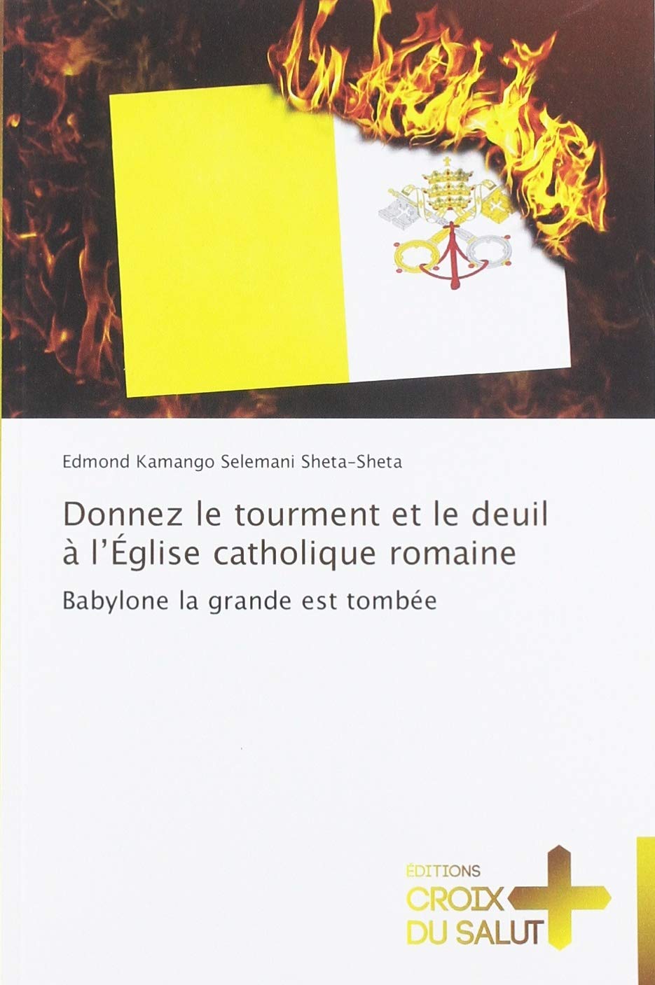 Donnez le tourment et le deuil à l’Église catholique romaine: Babylone la grande est tombée book