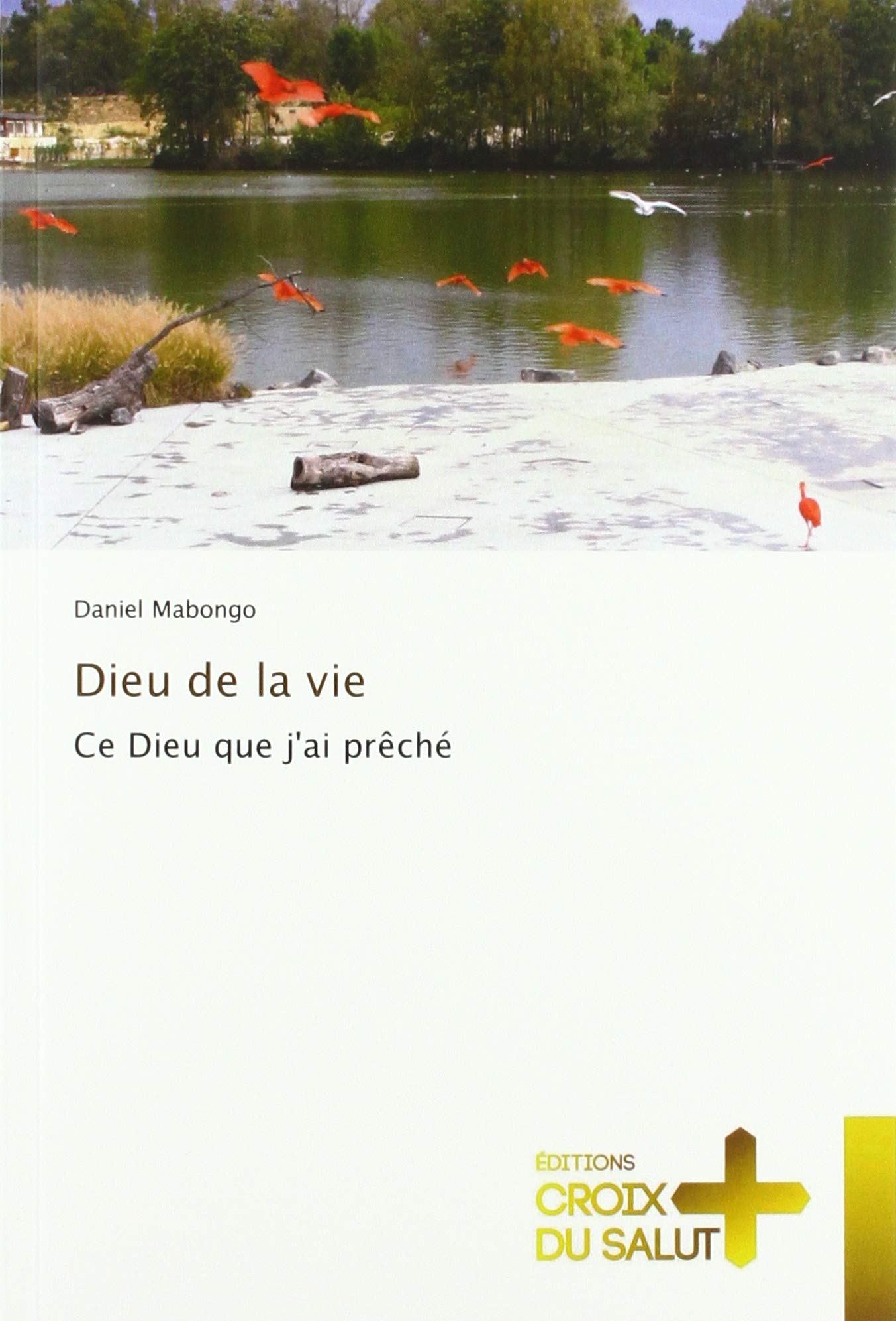 Dieu de la vie: Ce Dieu que j'ai prêché book