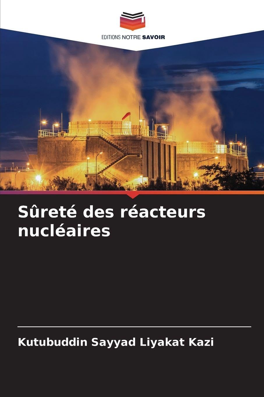 Sûreté des réacteurs nucléaires Business & Technology