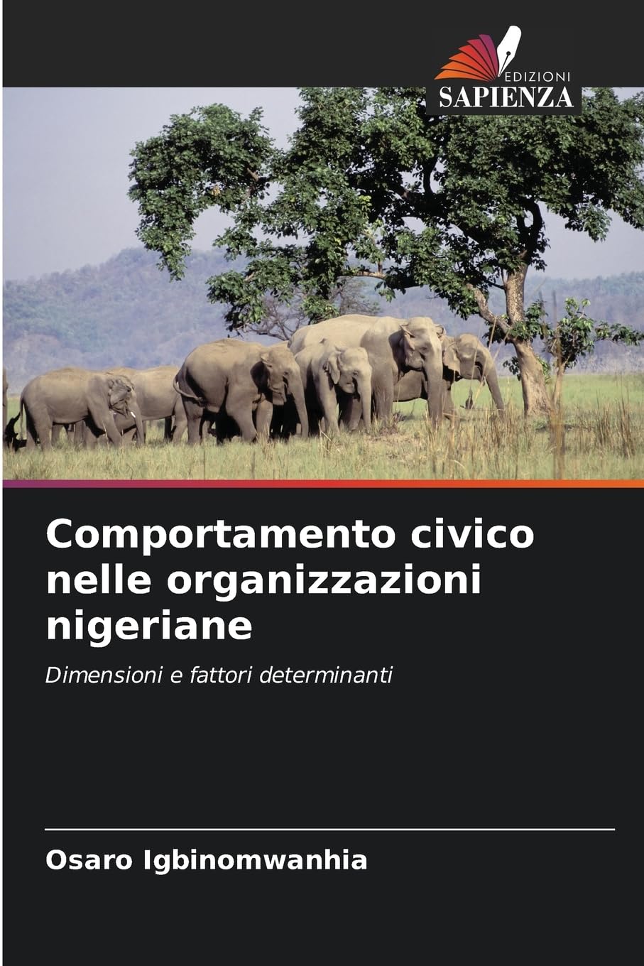 Comportamento civico nelle organizzazioni nigeriane Law