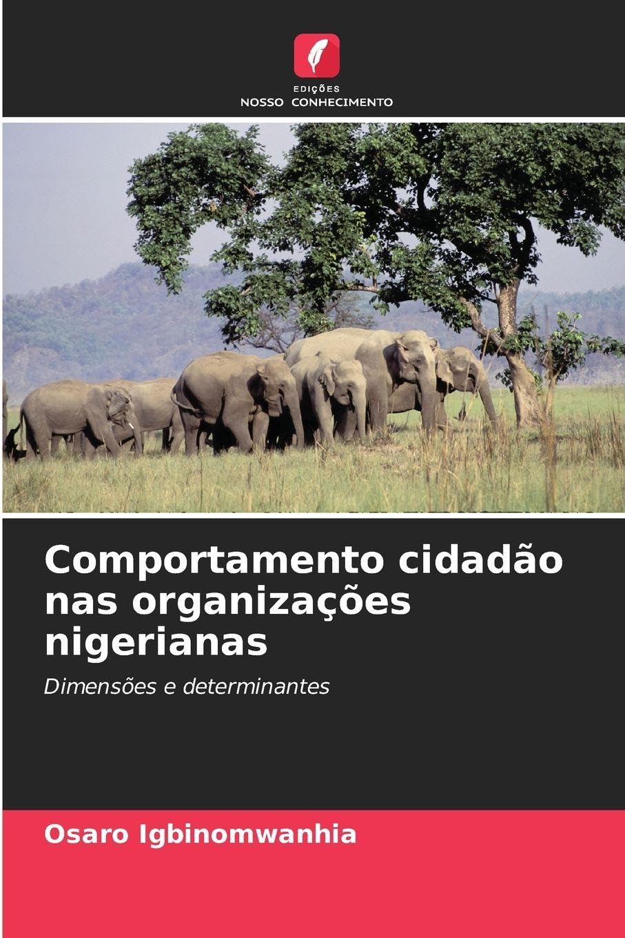 Comportamento cidadão nas organizações nigerianas Law
