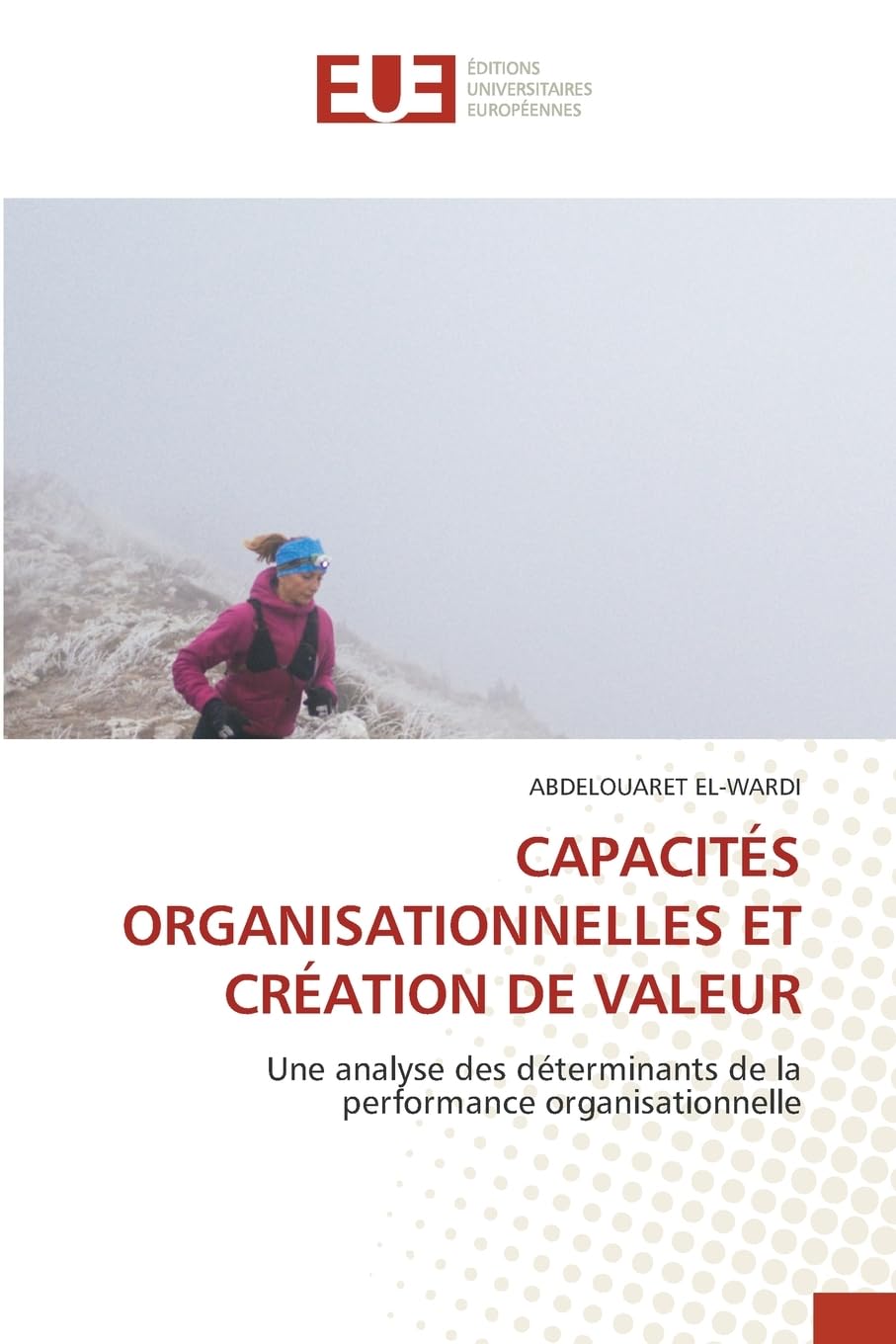 CAPACITÉS ORGANISATIONNELLES ET CRÉATION DE VALEUR Law