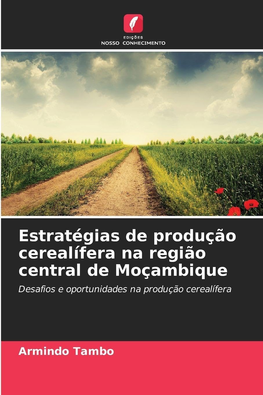 Estratégias de produção cerealífera na região central de Moçambique Natural Sciences
