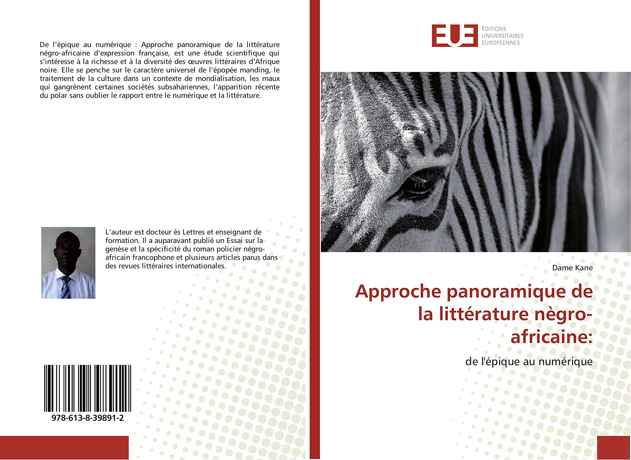 Approche panoramique de la litterature negro-africaine:: De l'epique au numerique book
