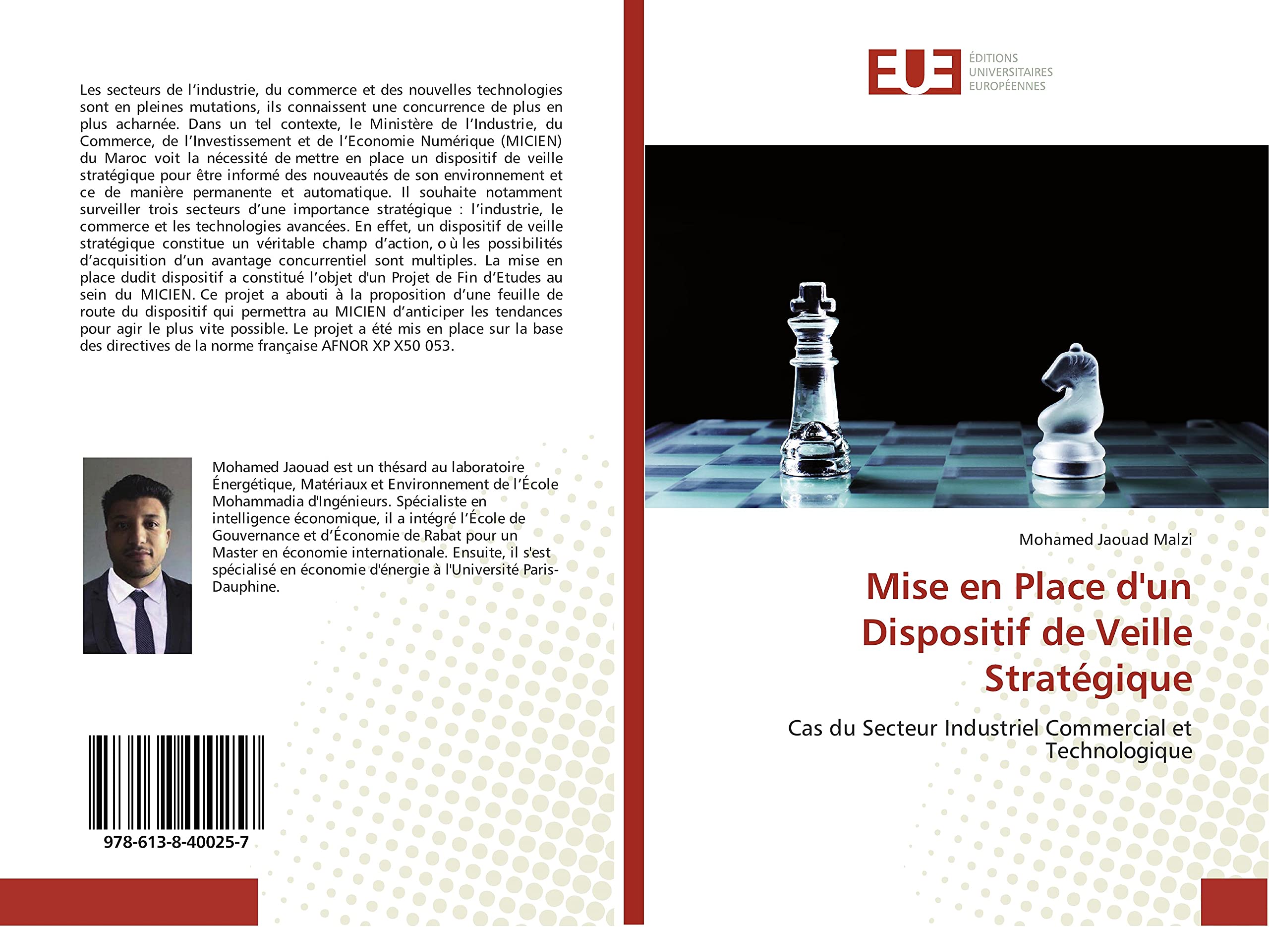 Mise en Place d'un Dispositif de Veille Strategique: Cas du Secteur Industriel Commercial et Technologique book