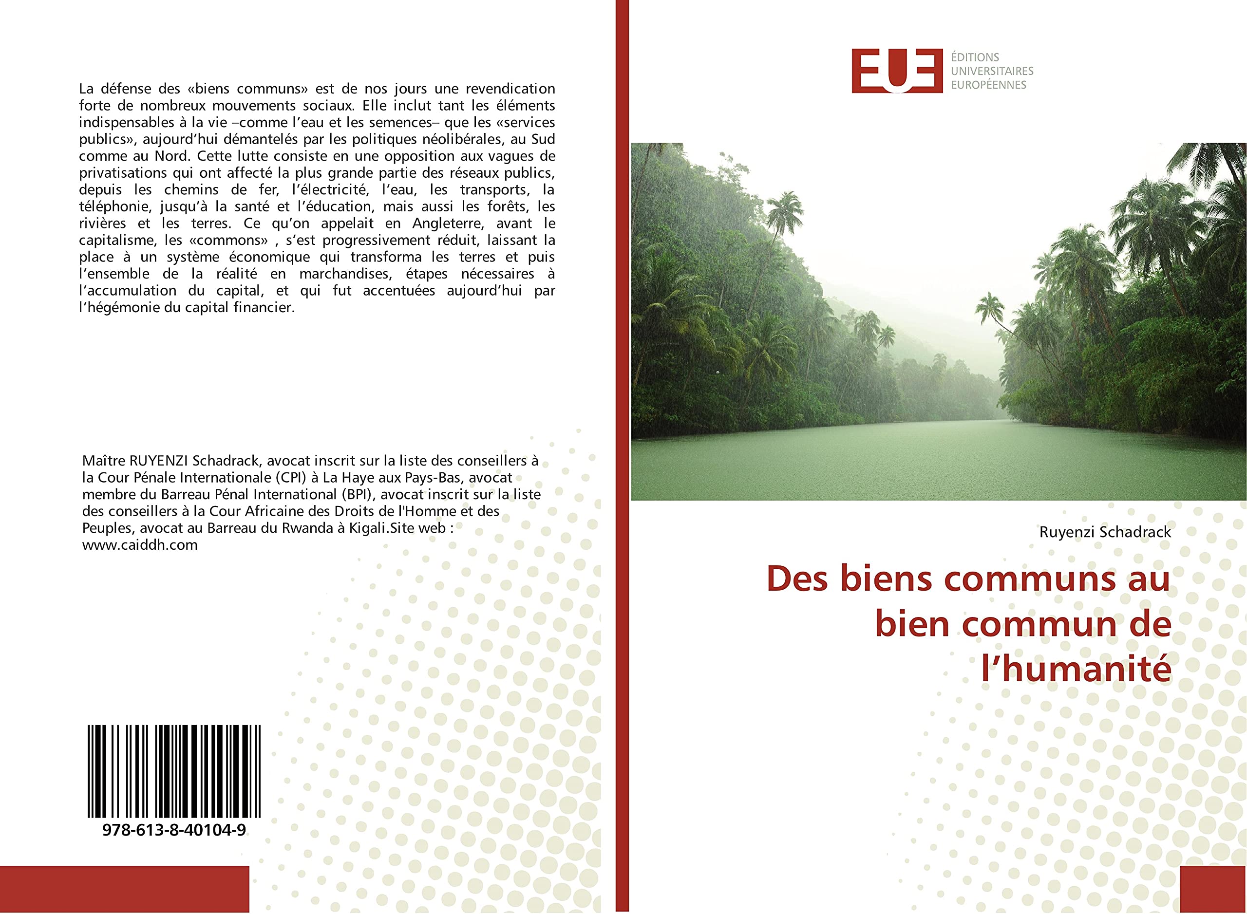 Des biens communs au bien commun de l'humanite book