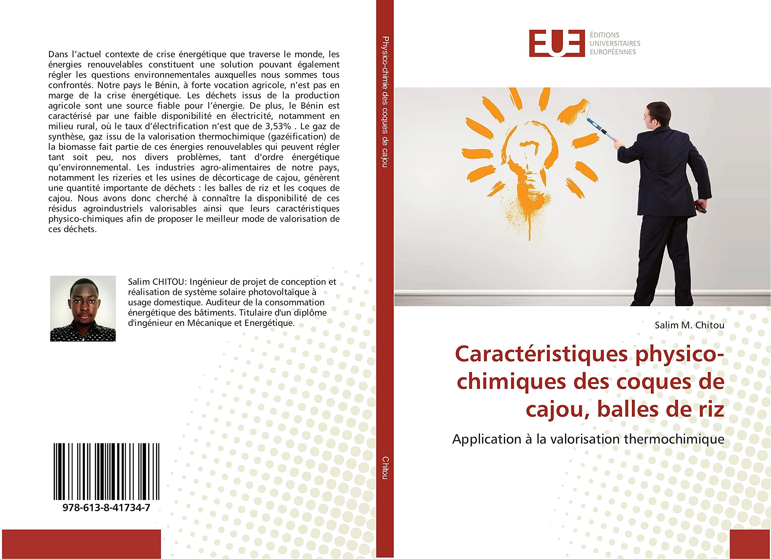 Caractéristiques physico-chimiques des coques de cajou, balles de riz: Application à la valorisation thermochimique book